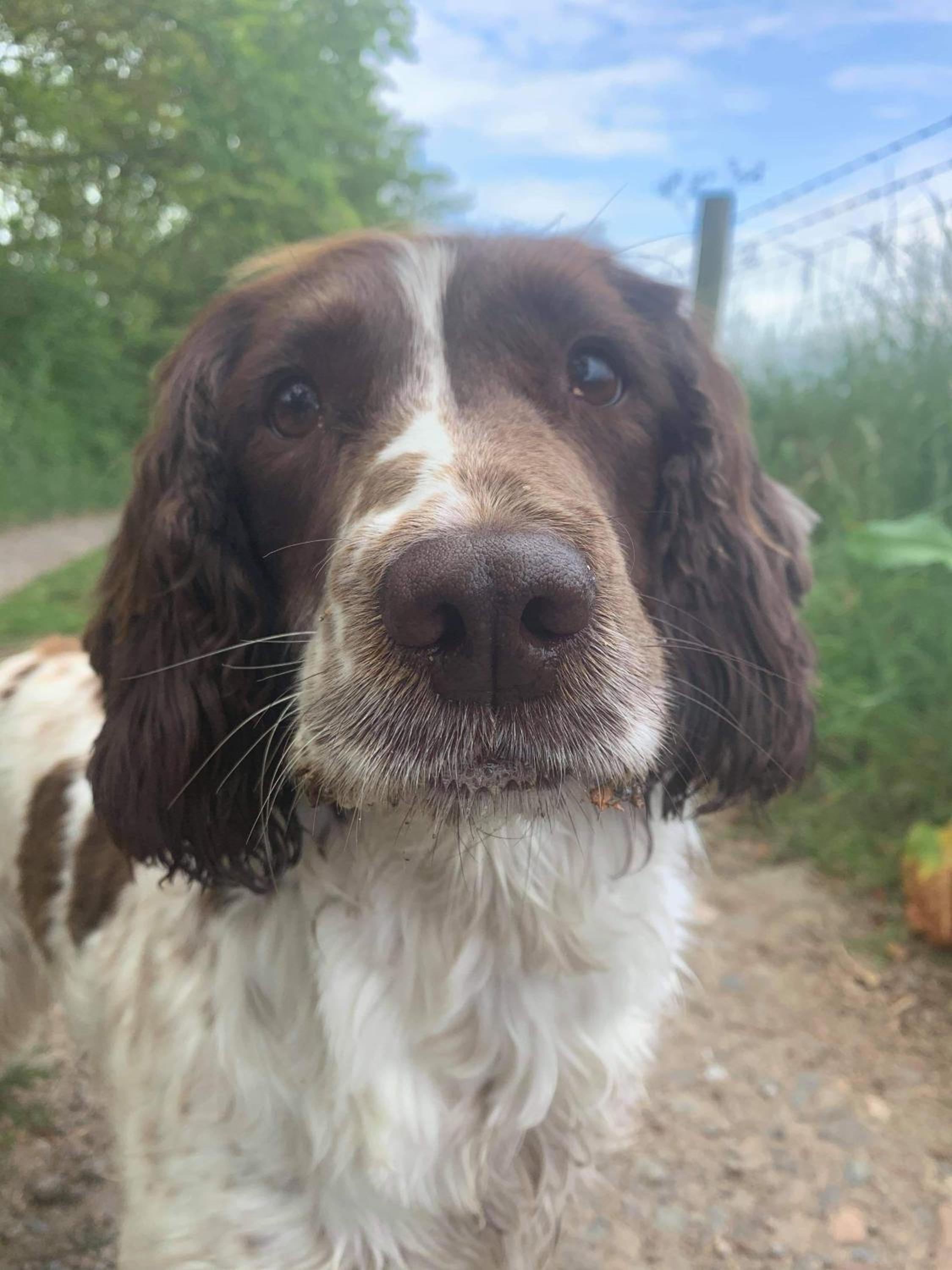 Photo 11