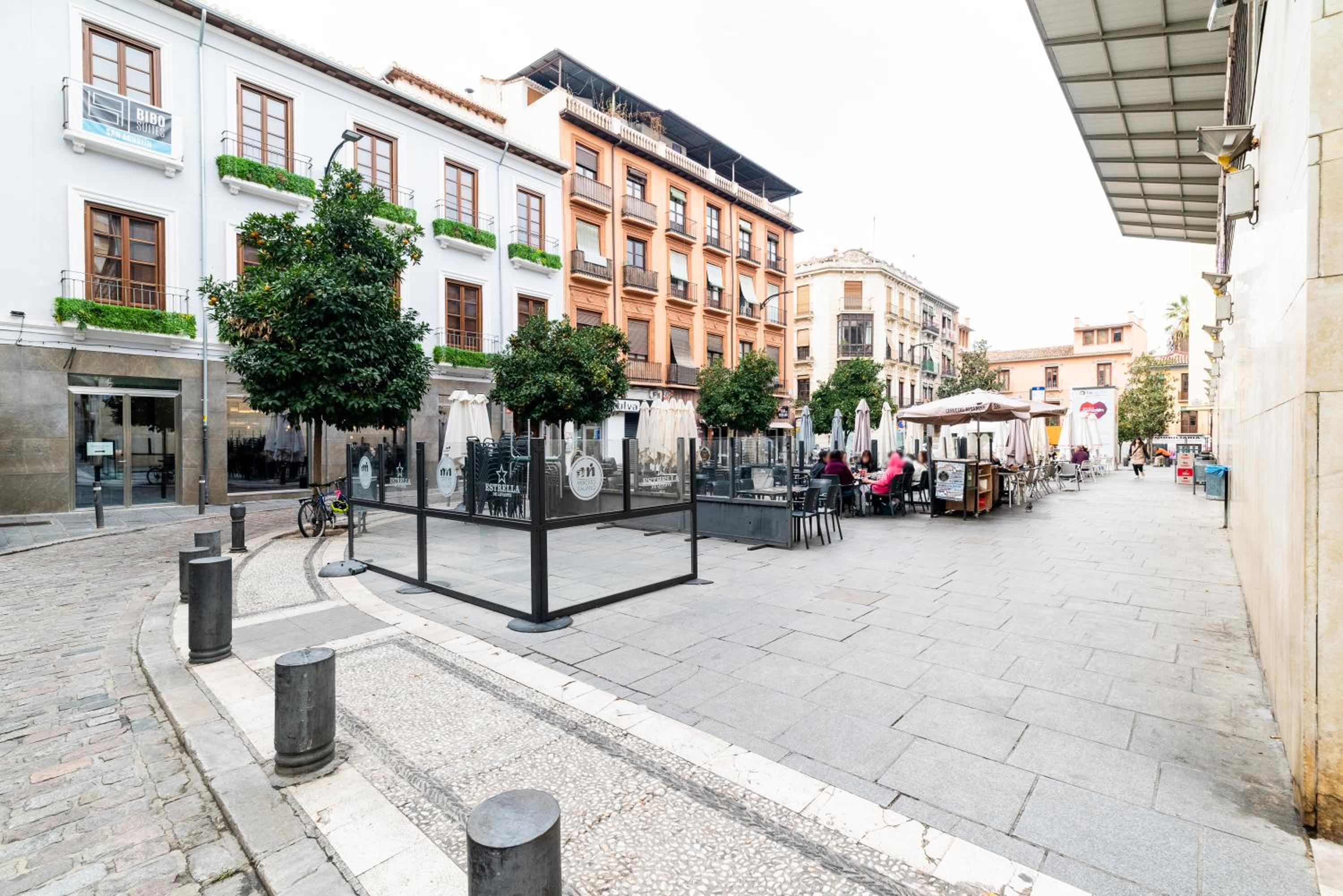 Piso junto a Mercado de San Agustín y Catedral en Granada view 5