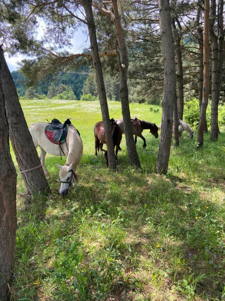 Tezh Ler Resort