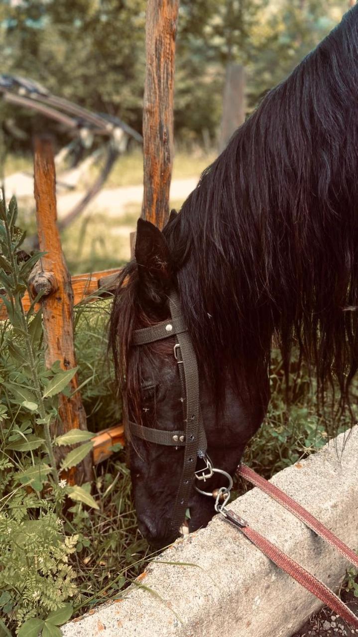 Tezh Ler Resort