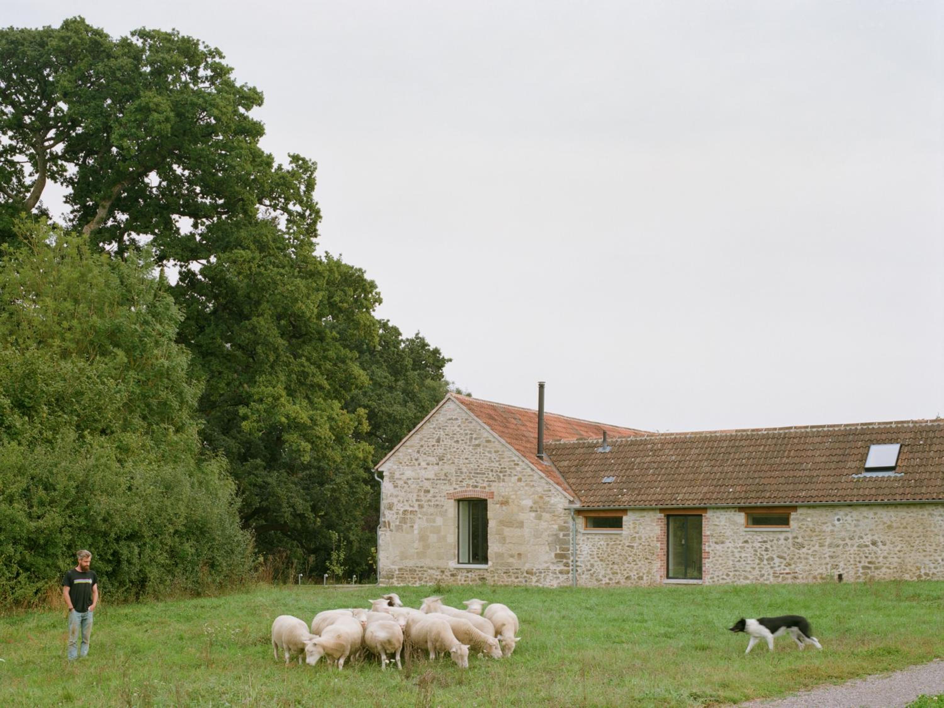 Ladymeade