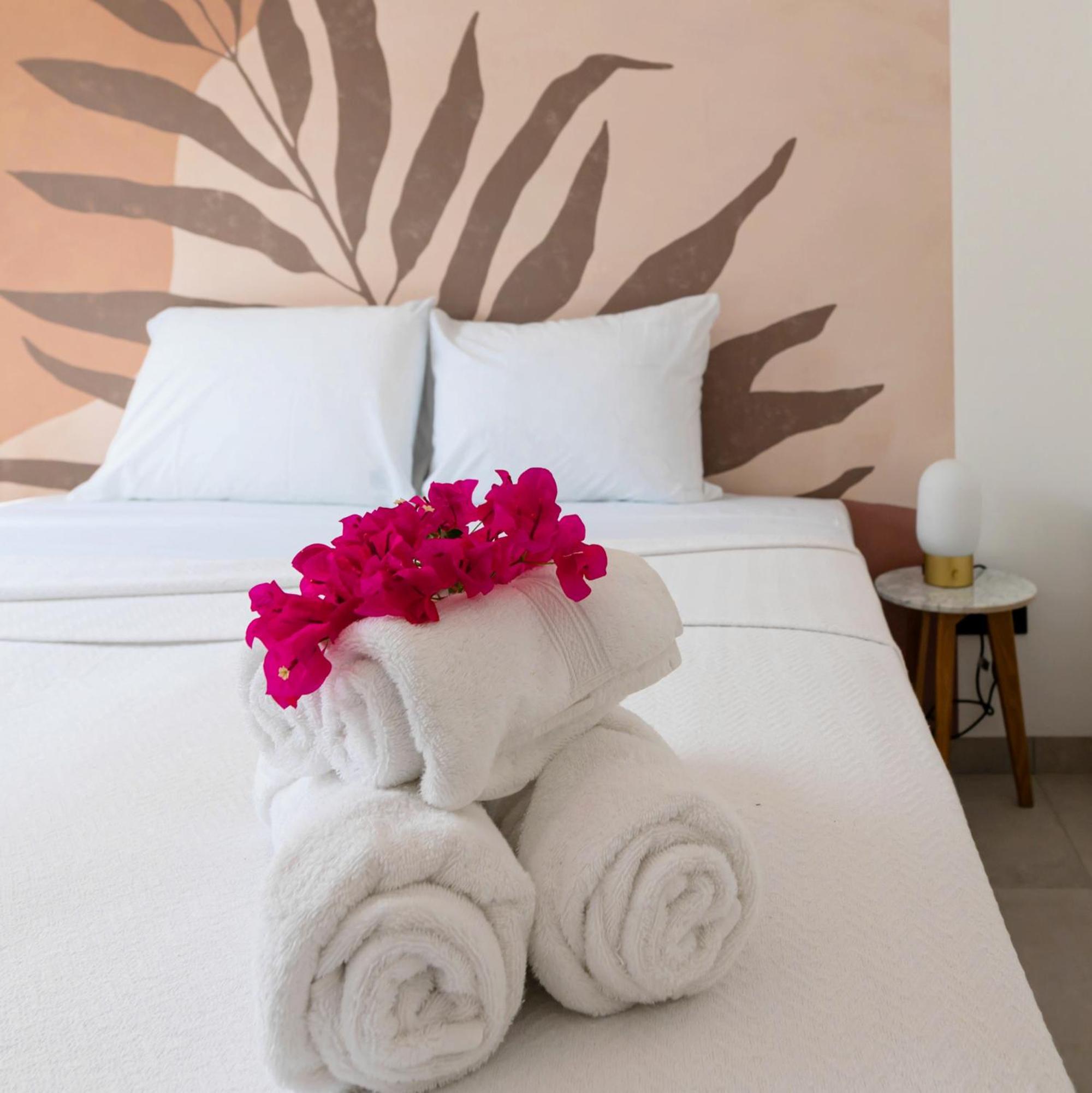 Palm Suite - Newly constructed poolside apartment just minutes from the beach