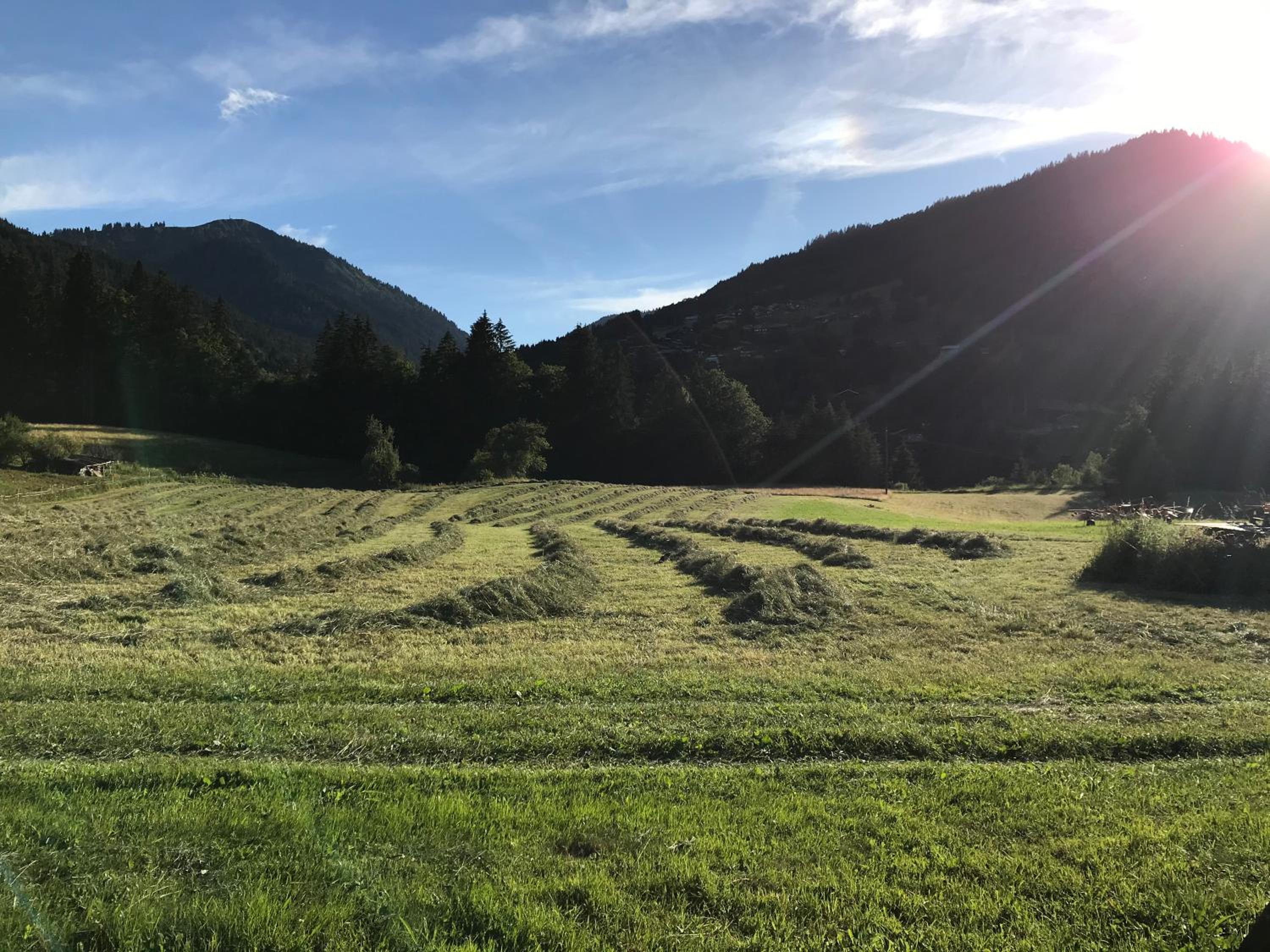 Photo 30