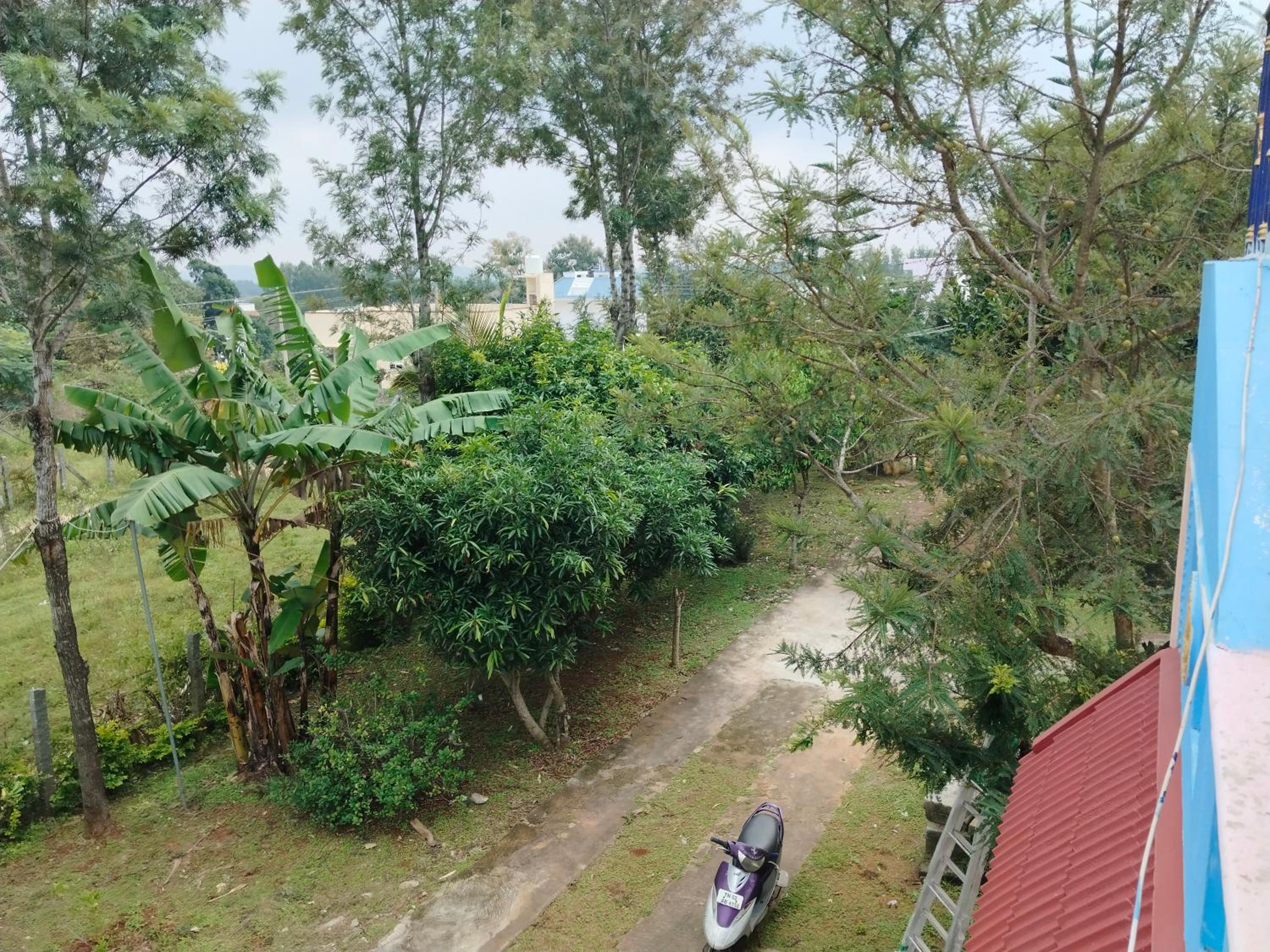 Kalavati garden