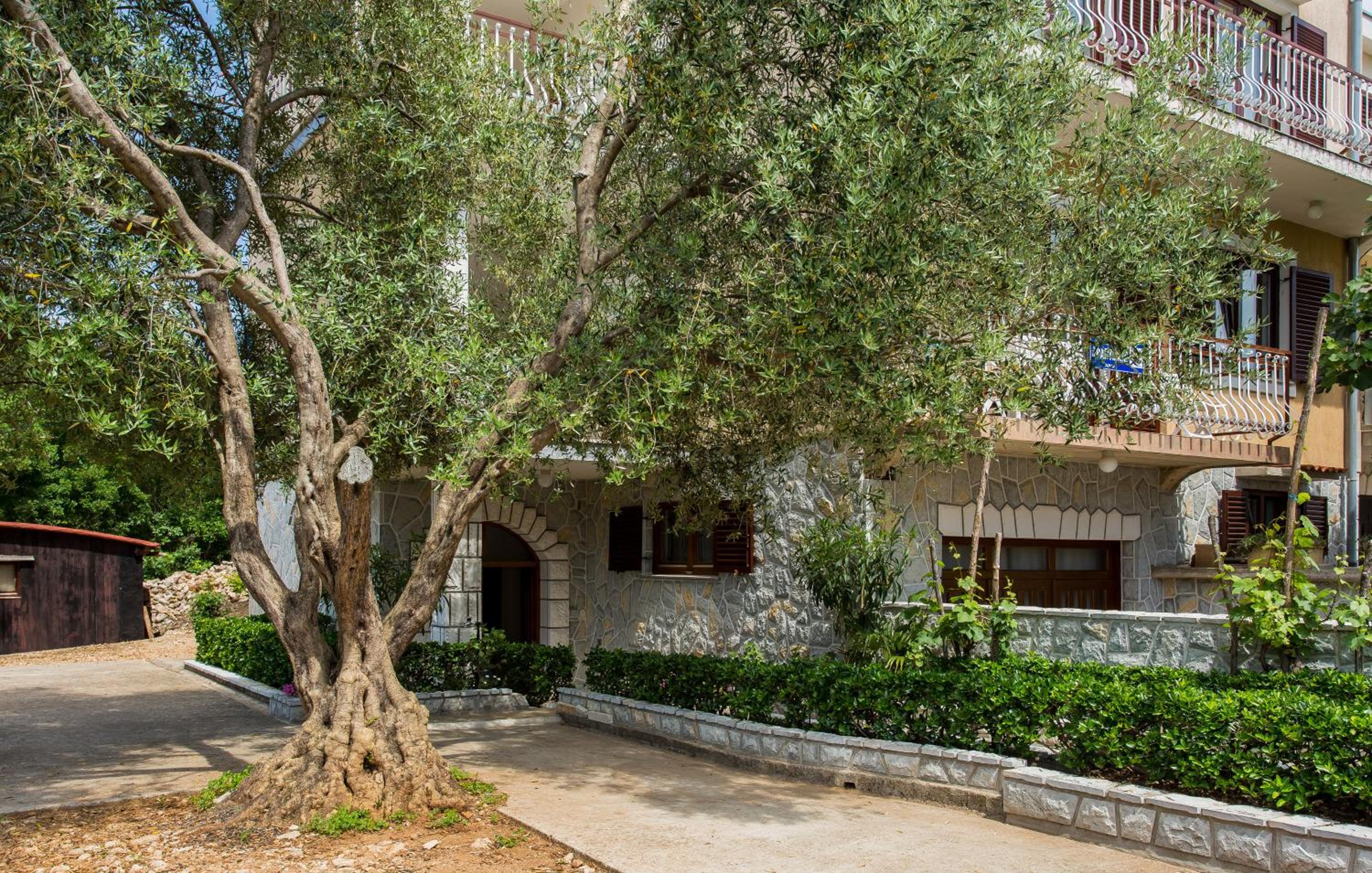 Apartments Vrban view 5