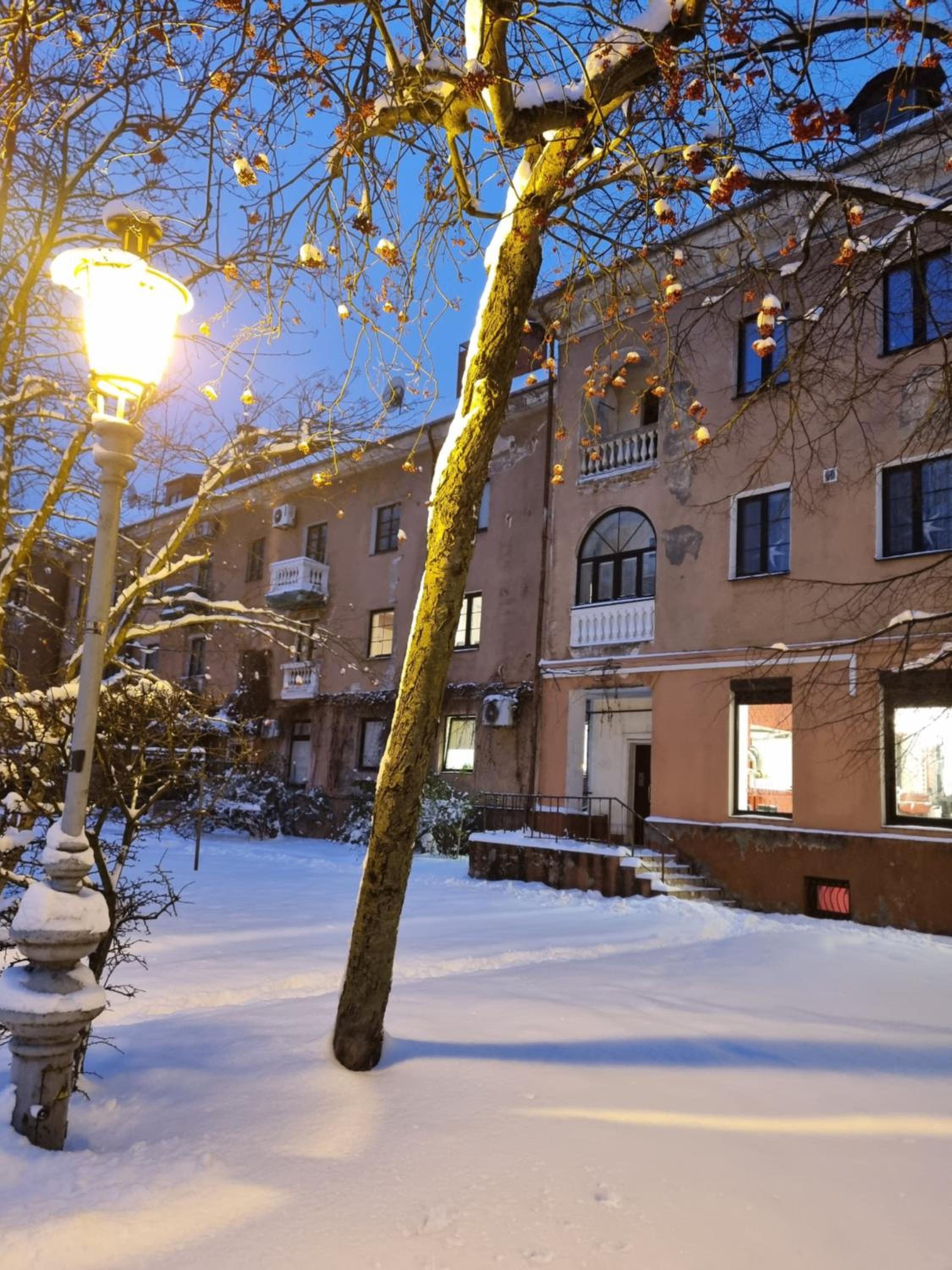 Photo 45