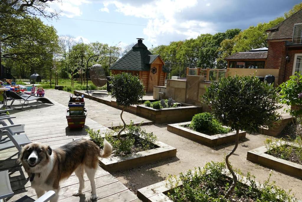 Hotel The Stables - 2 Bed With Large Garden And Hot Tub.