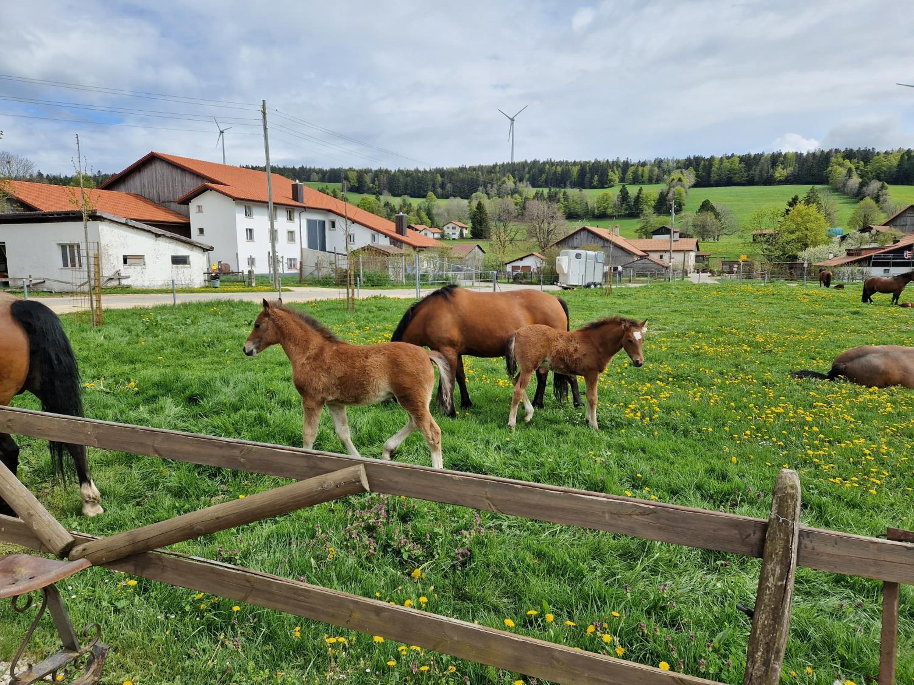 Auberge du Peu-Péquignot view 2