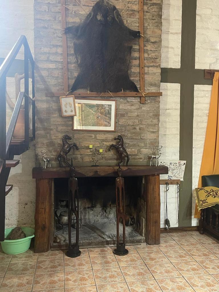 CABAÑA PUNTA NEGRA MANZANO HISTORICO TUNUYAN MENDOZA