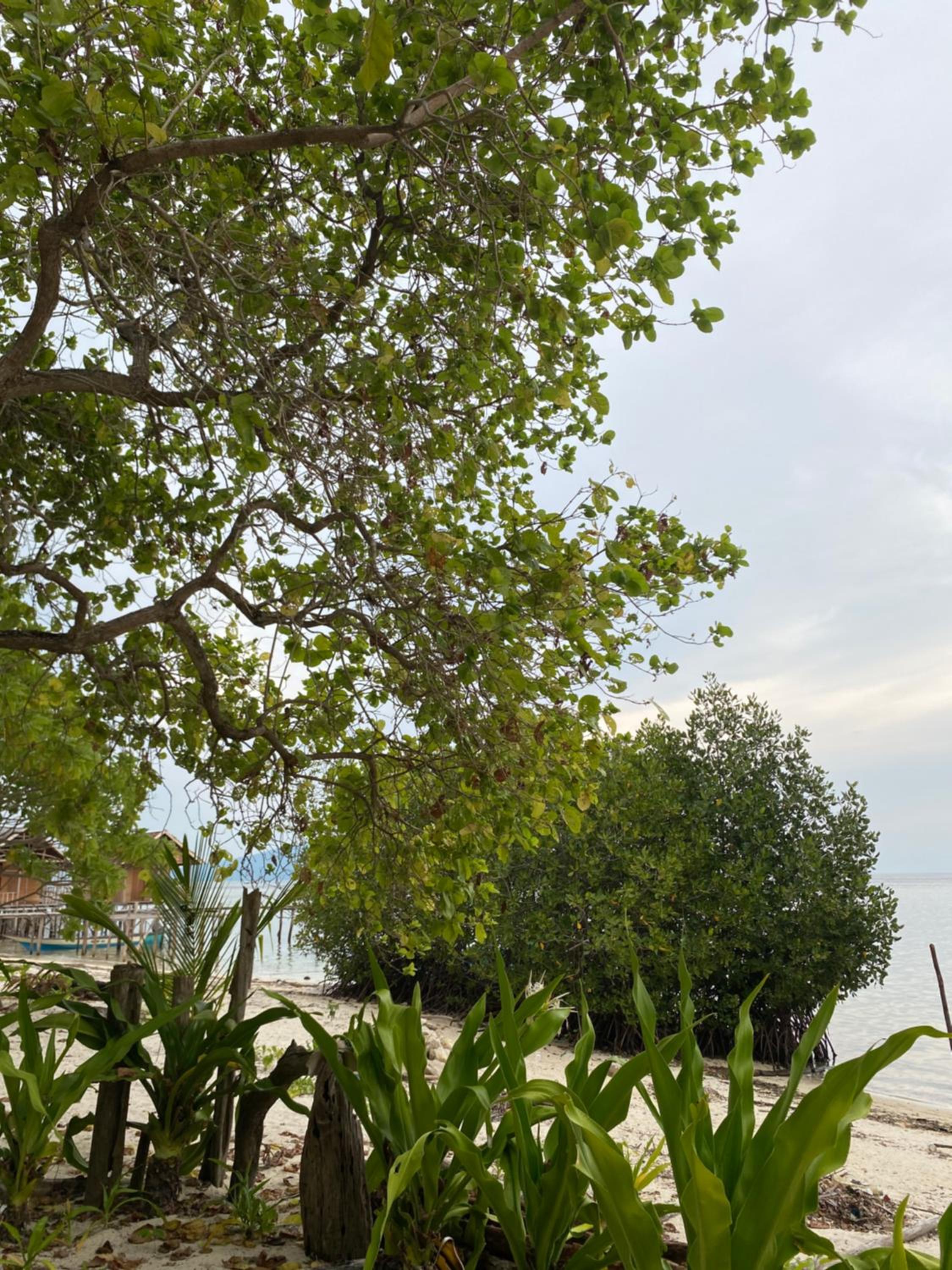 Sunshine homestay