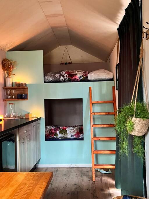 Luxe kamperen in een Tiny House view 2