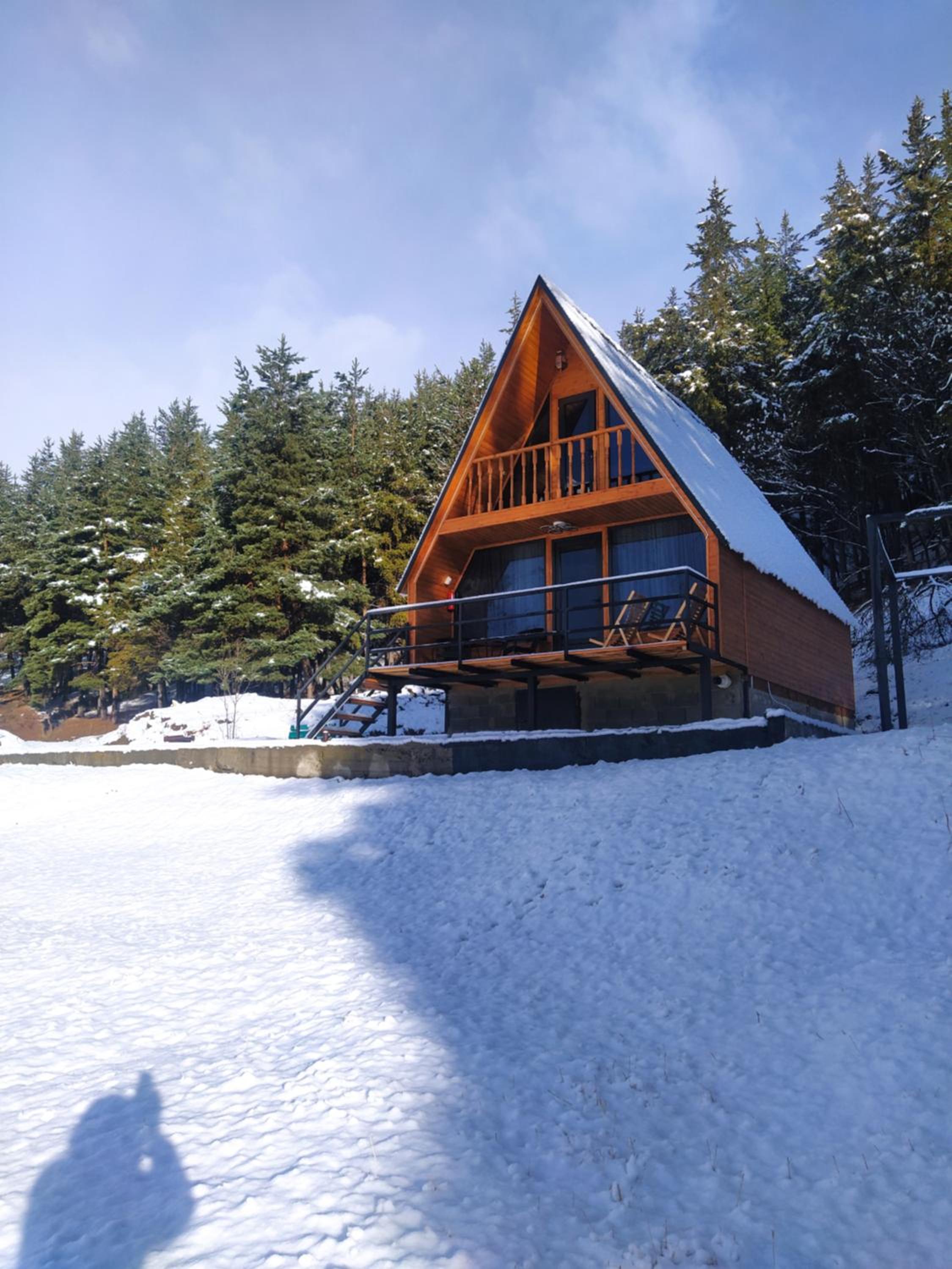 Sno Woodland
