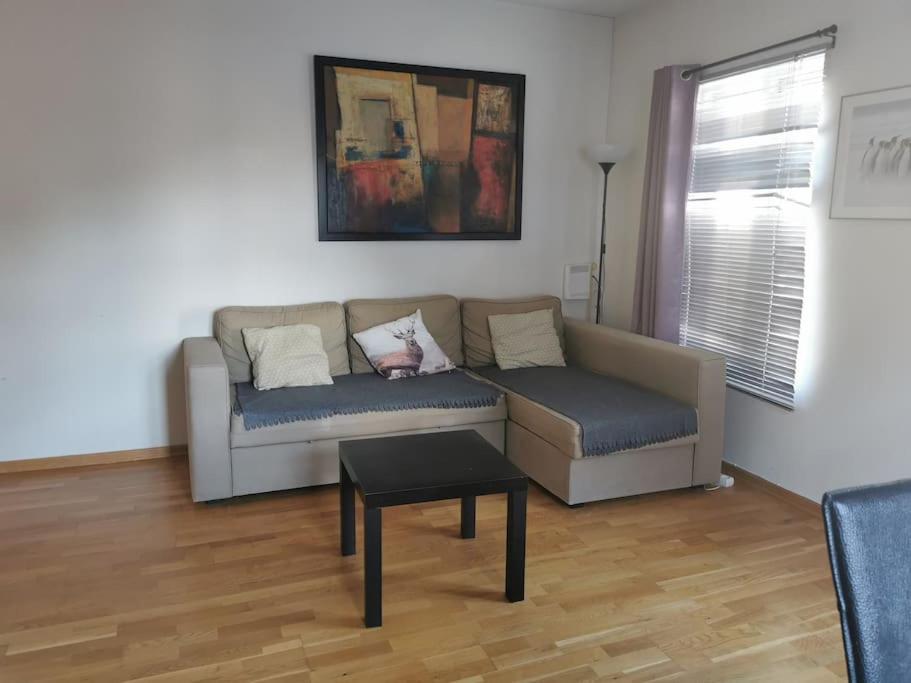Nice 1-bedroom apartment in Heart of the City view 3