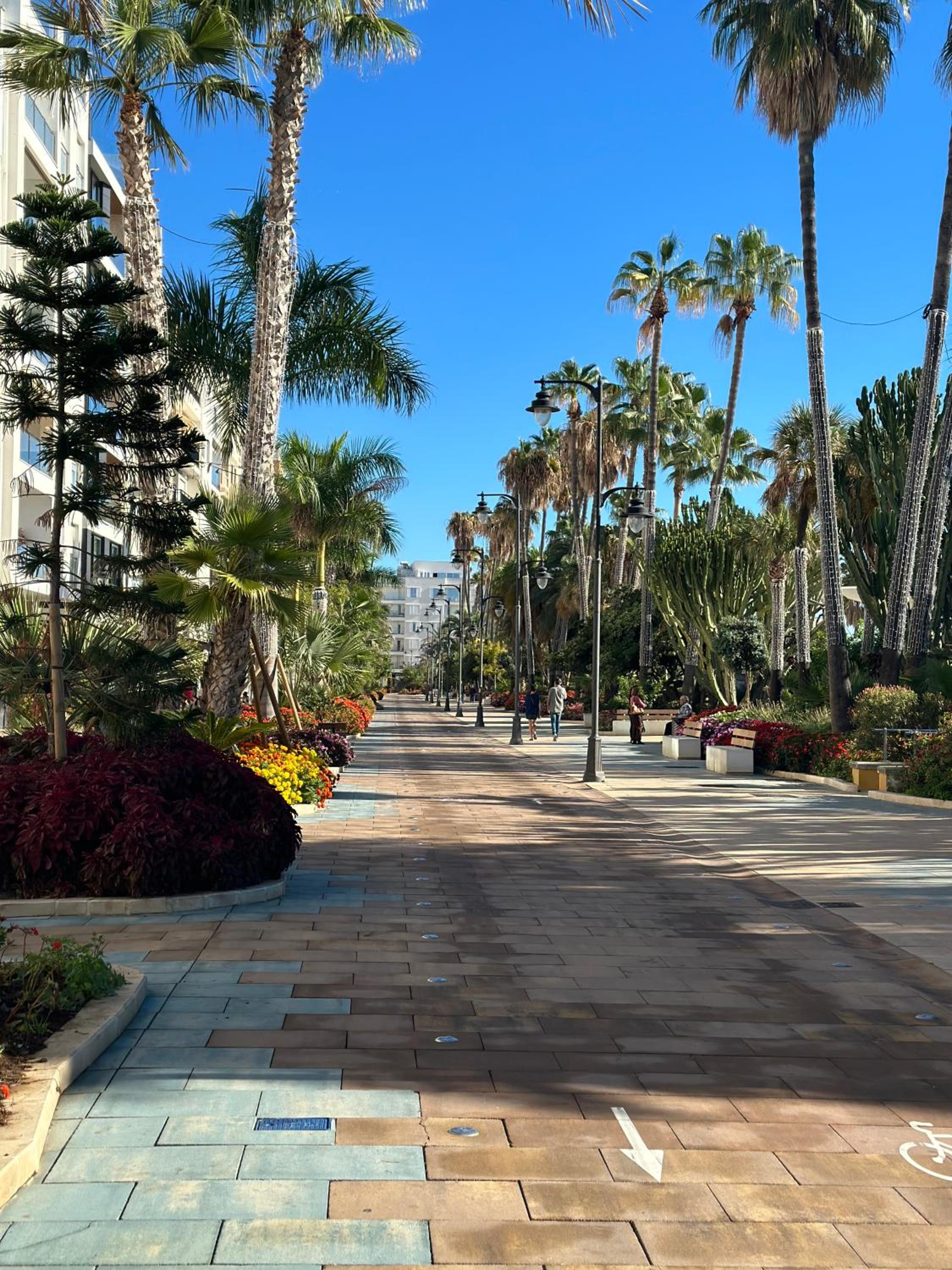 Estepona Center