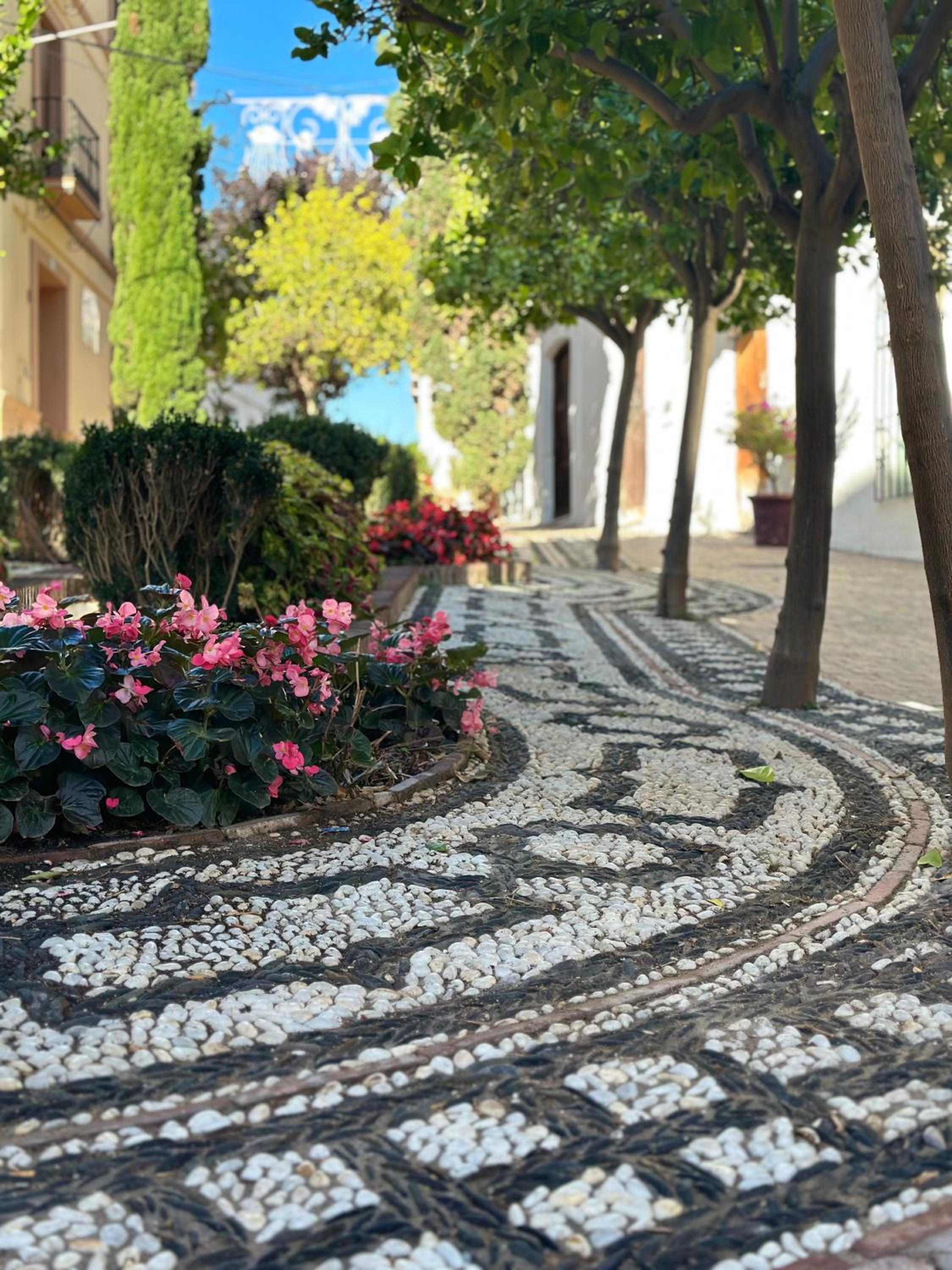Estepona Center
