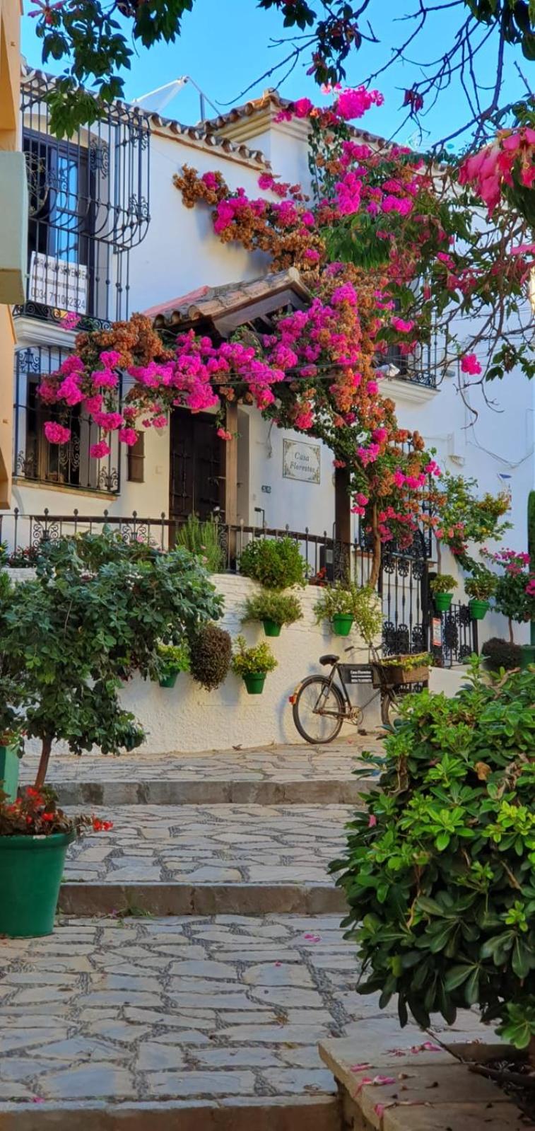 Estepona Center