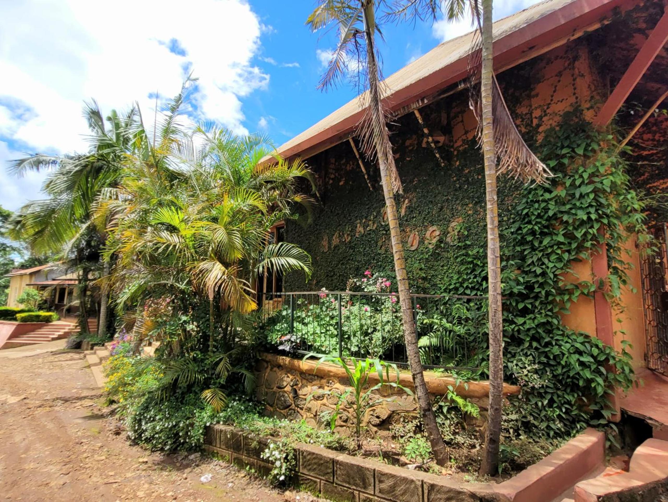 Babylon Lodge view 4