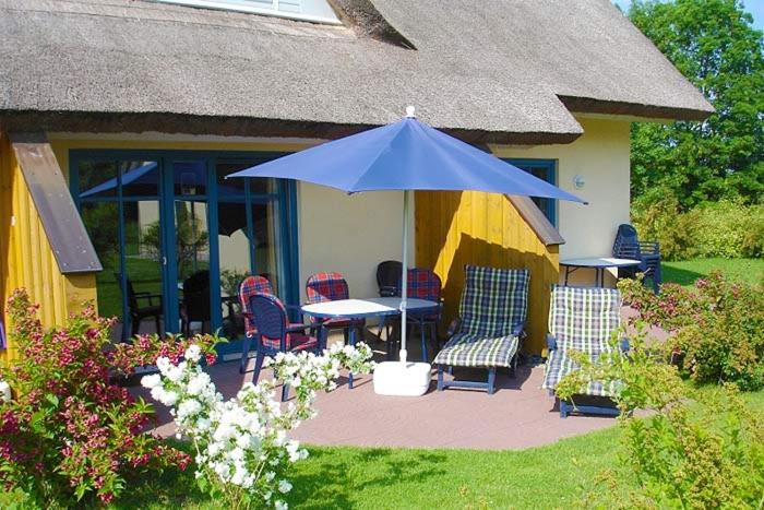 Reetdachhaus Malve 2