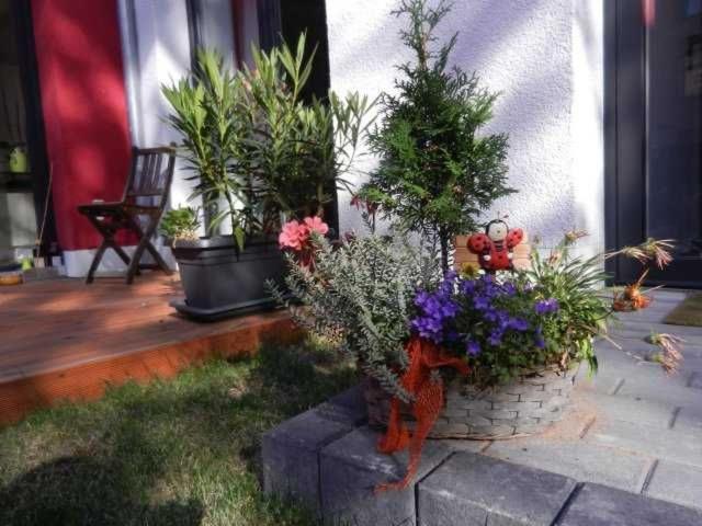 Ferienwohnung Blumenstraße 81