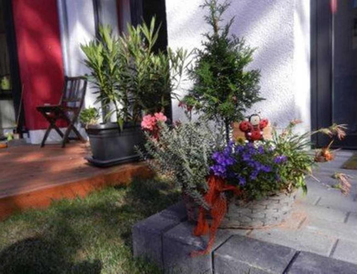 Ferienwohnung Blumenstraße 81