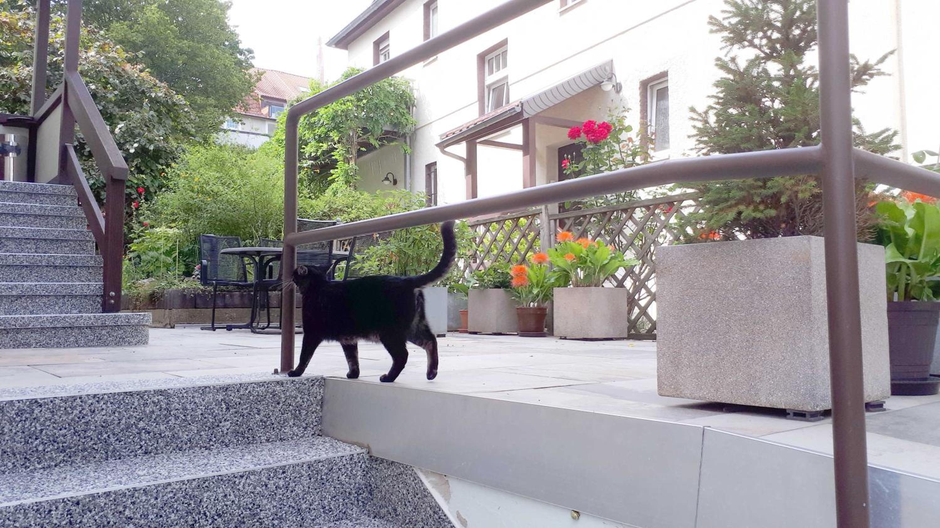 Ferienwohnung Im Dichterviertel