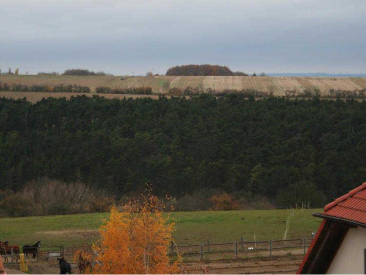 Ferienwohnung "Im Alten Gut" view 2