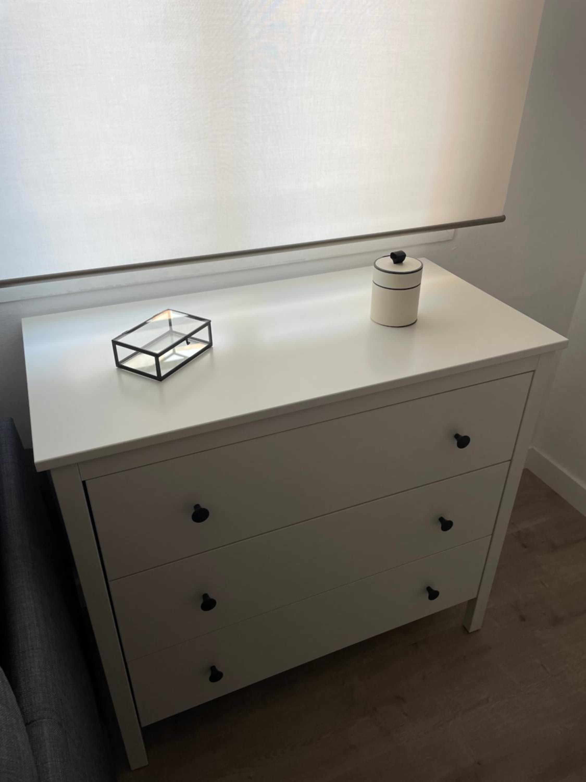 Suite la biznaga