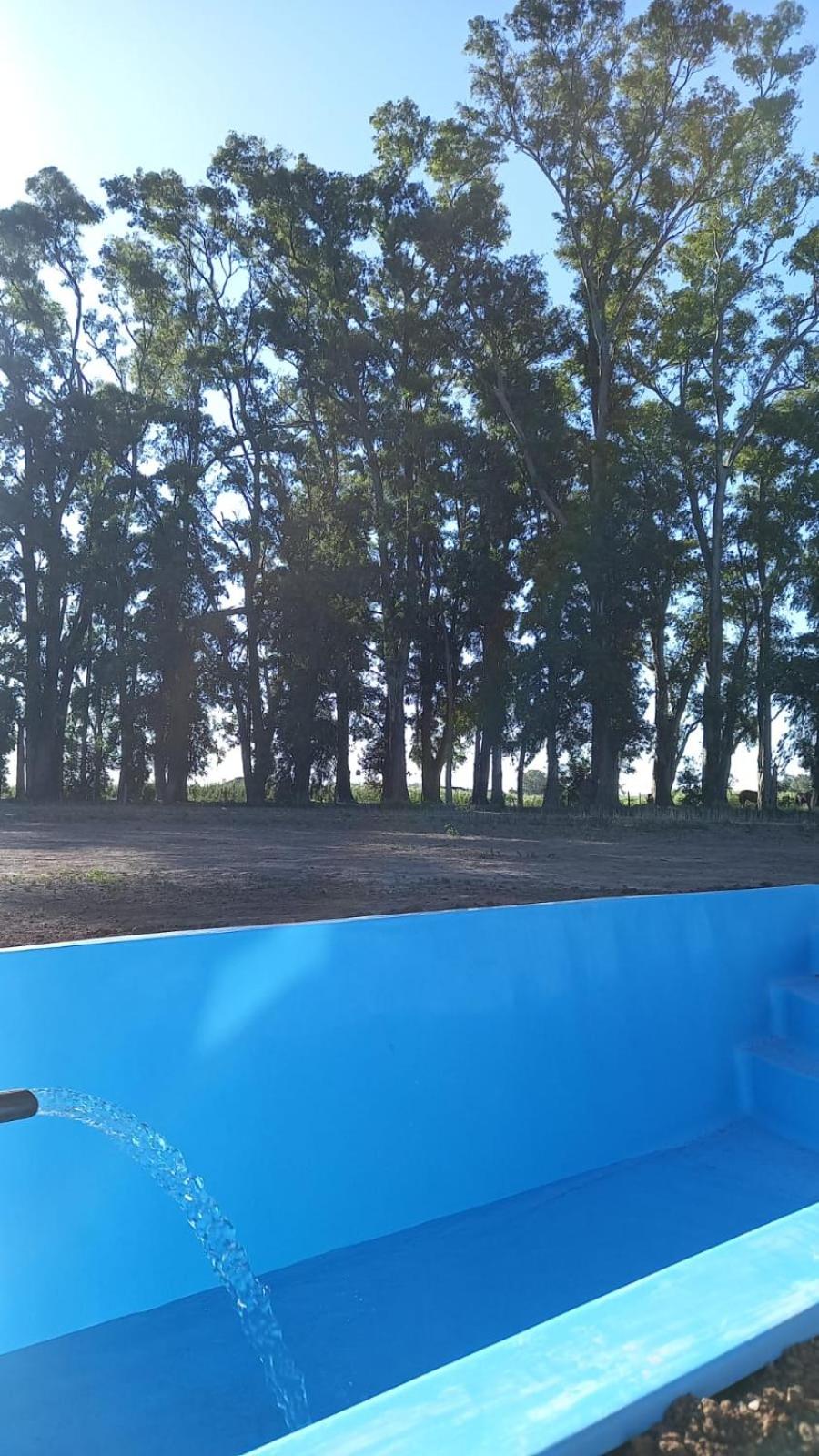 Estadia de campo
