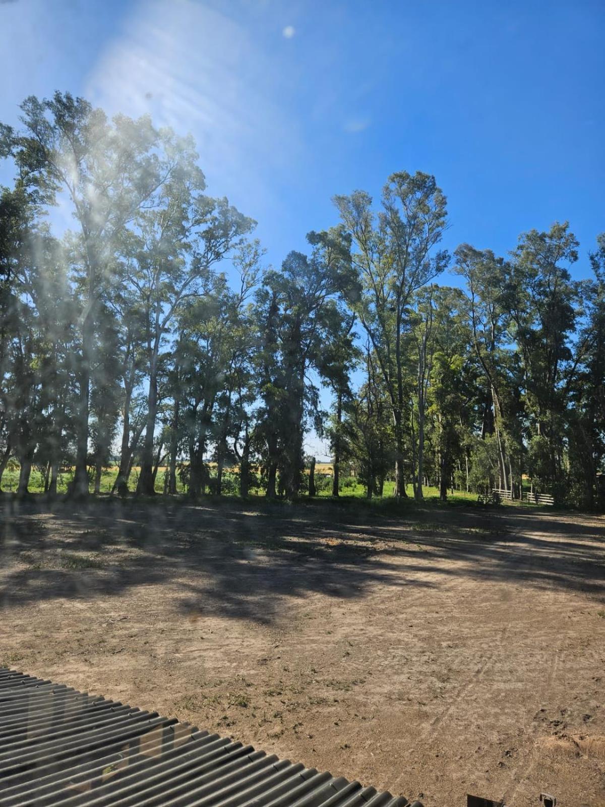 Estadia de campo