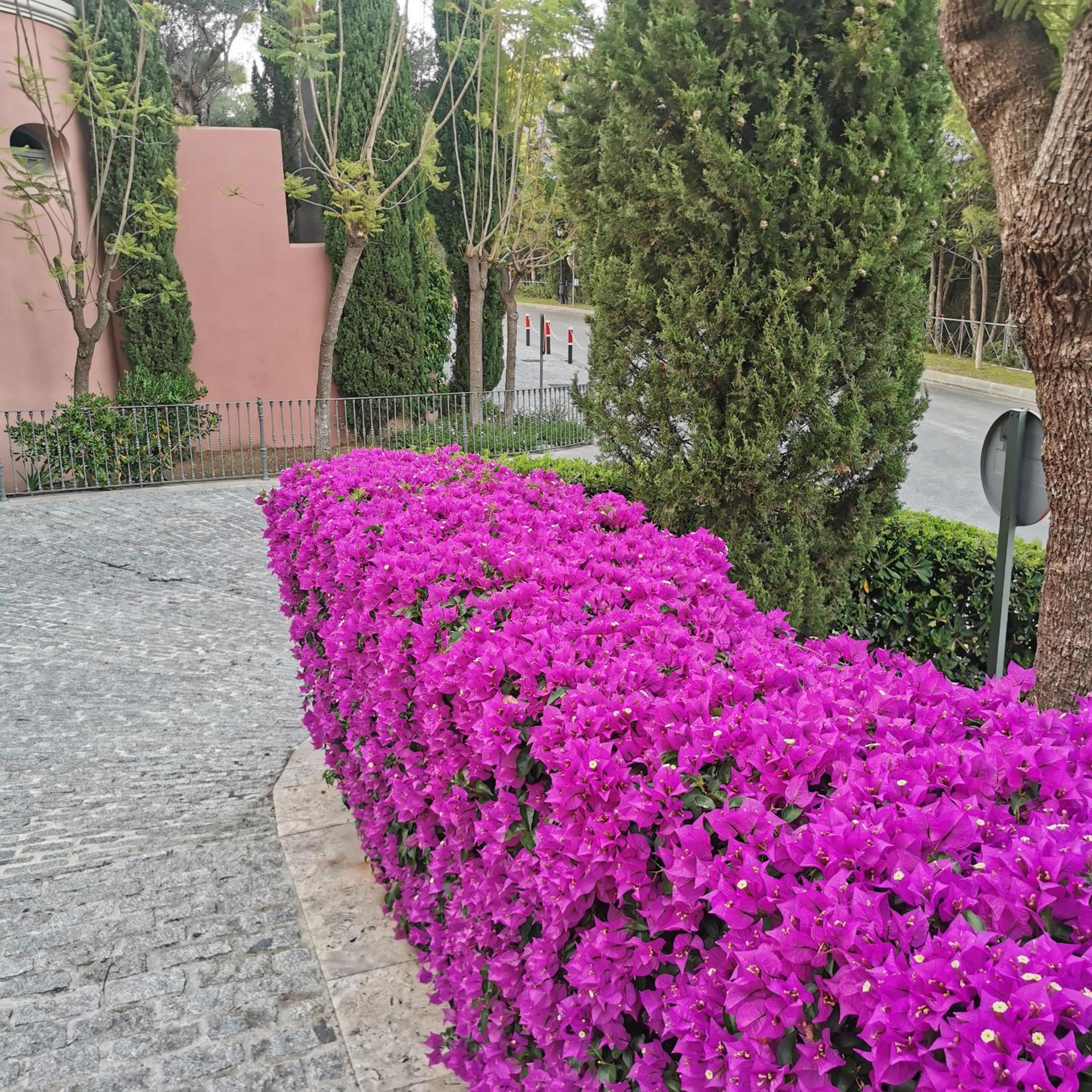 los arqueros golf Luxury Boutique development in a gated community with all facilities in walking distance