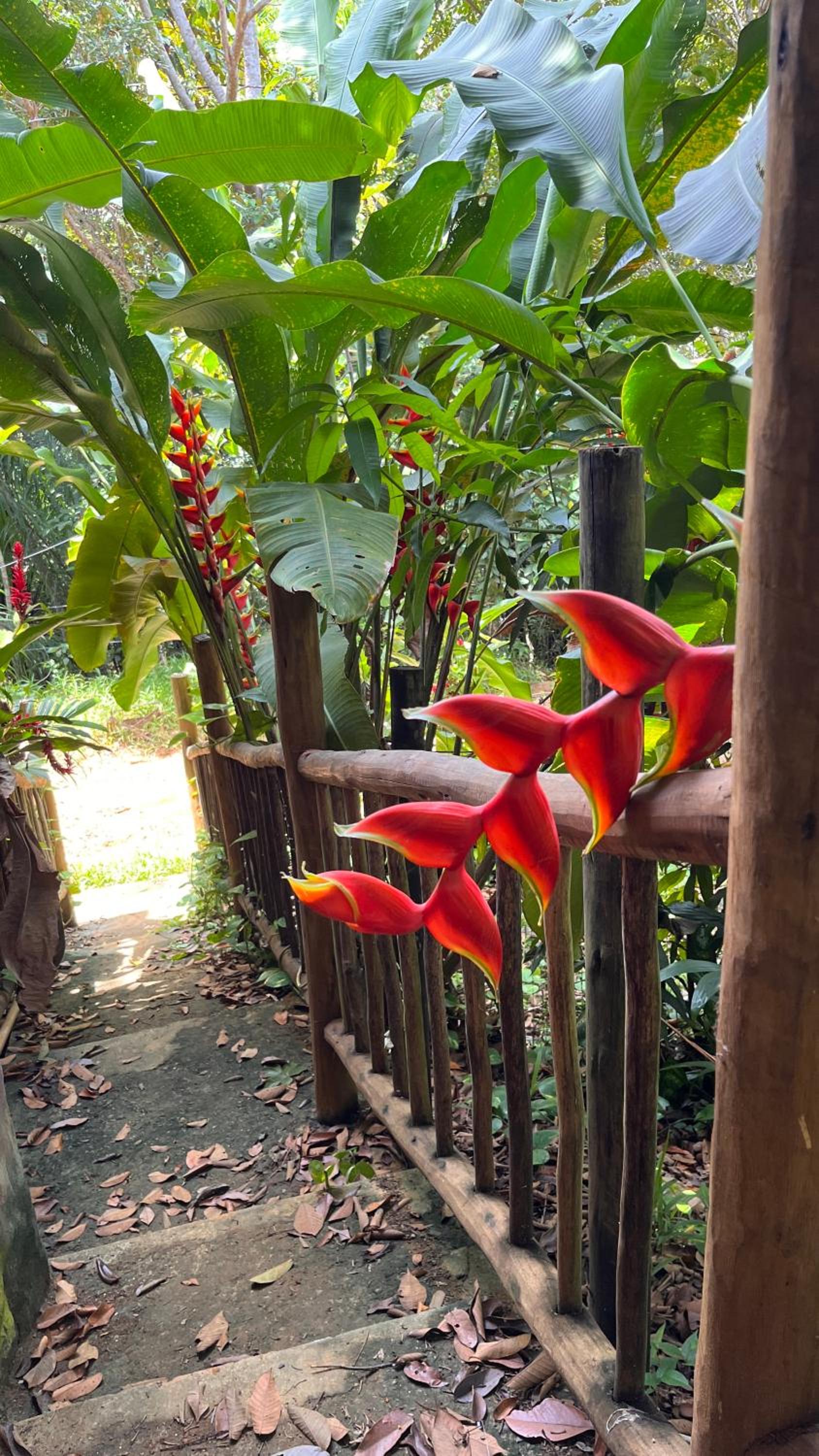 Casa Ipê I Itacaré-Ba