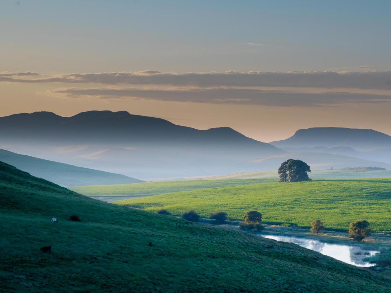 Flitwick Ranch view 5