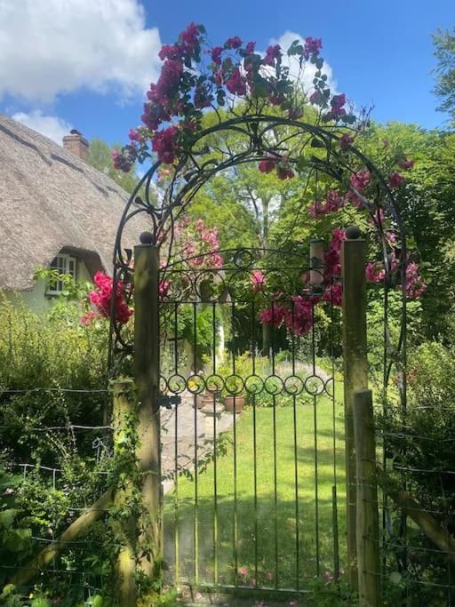 Till Cottage and Riverside Gardens nr Stonehenge 2