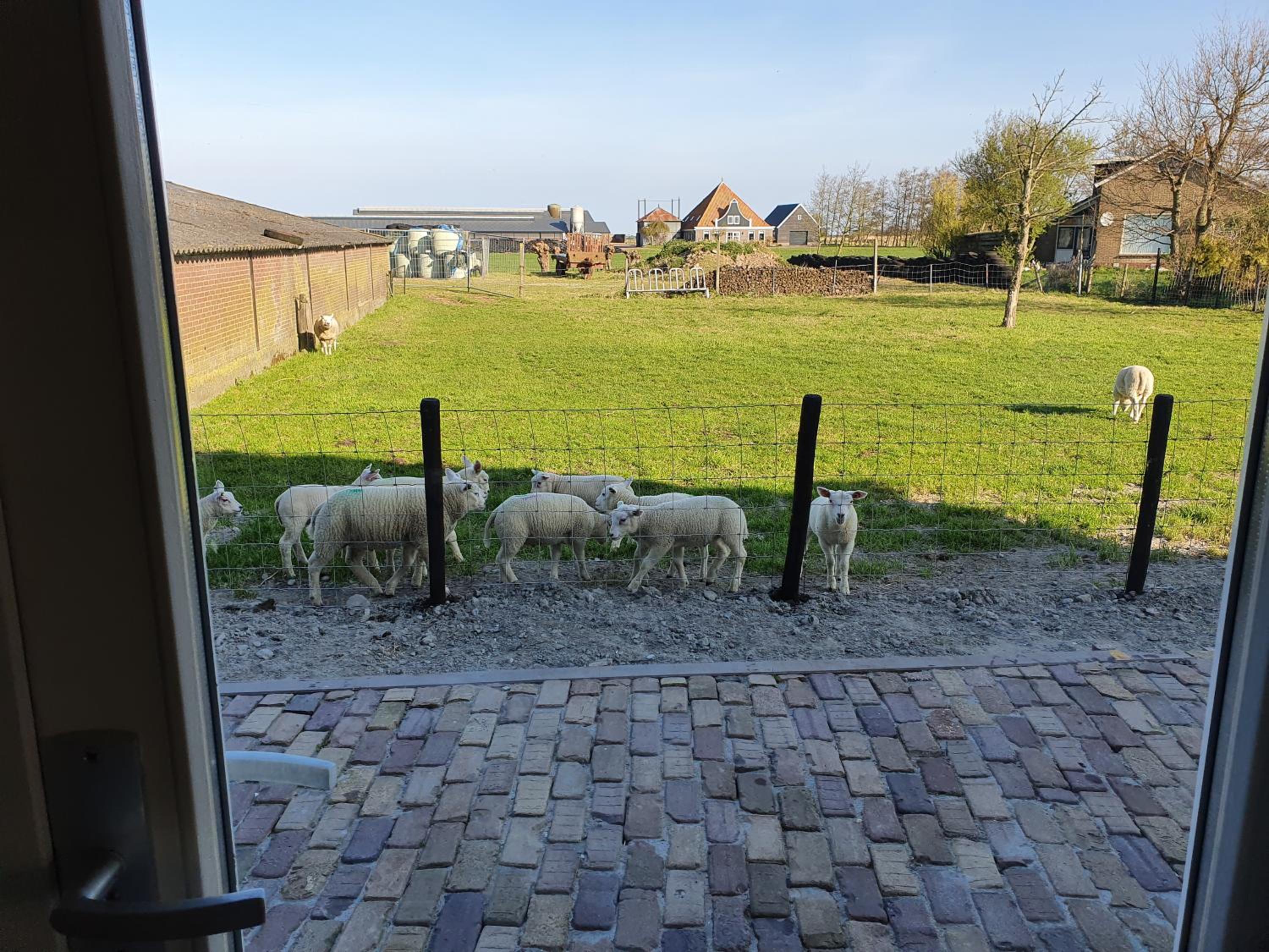 Mathildahoeve