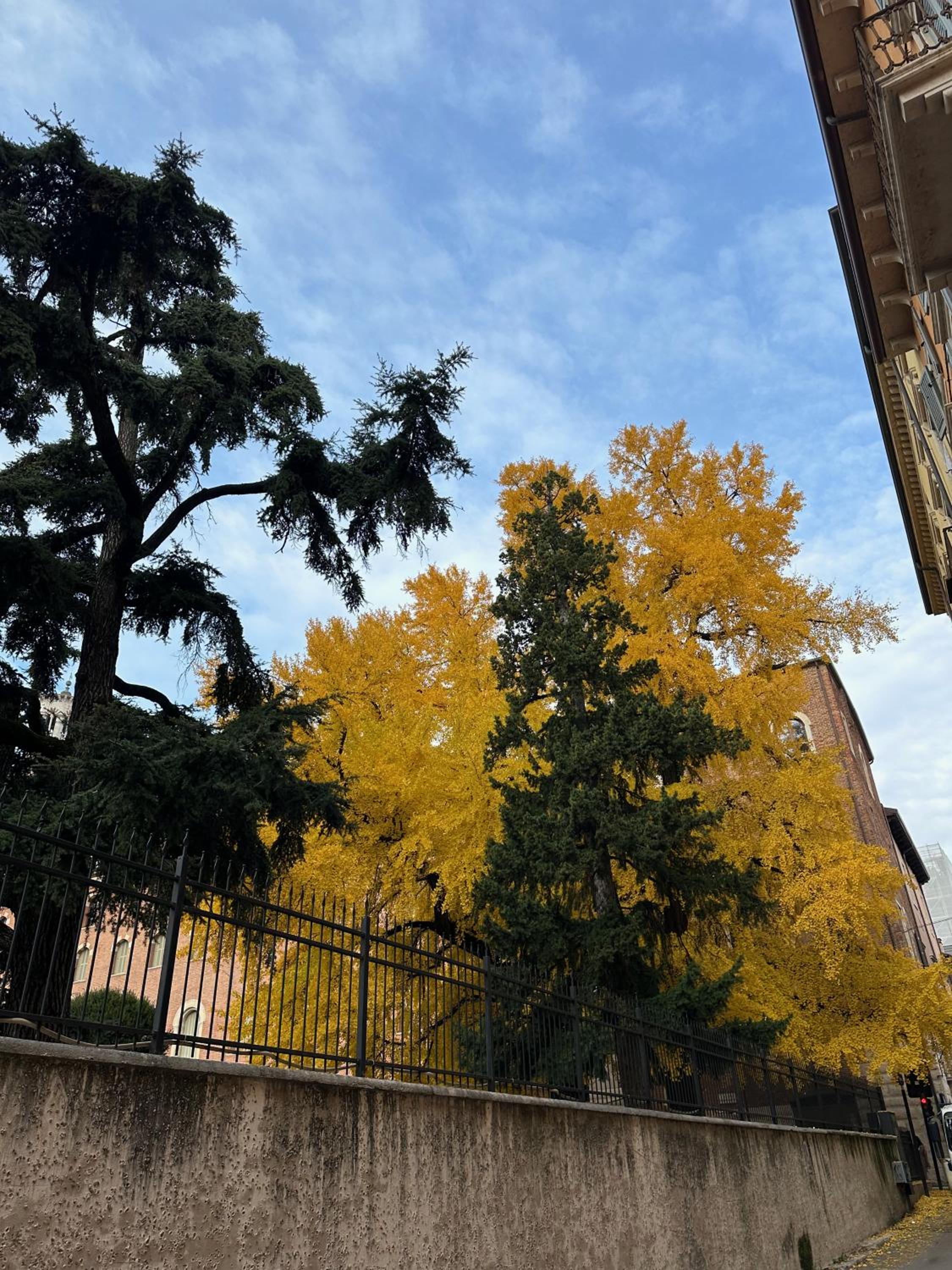 Domus Largo Pescheria