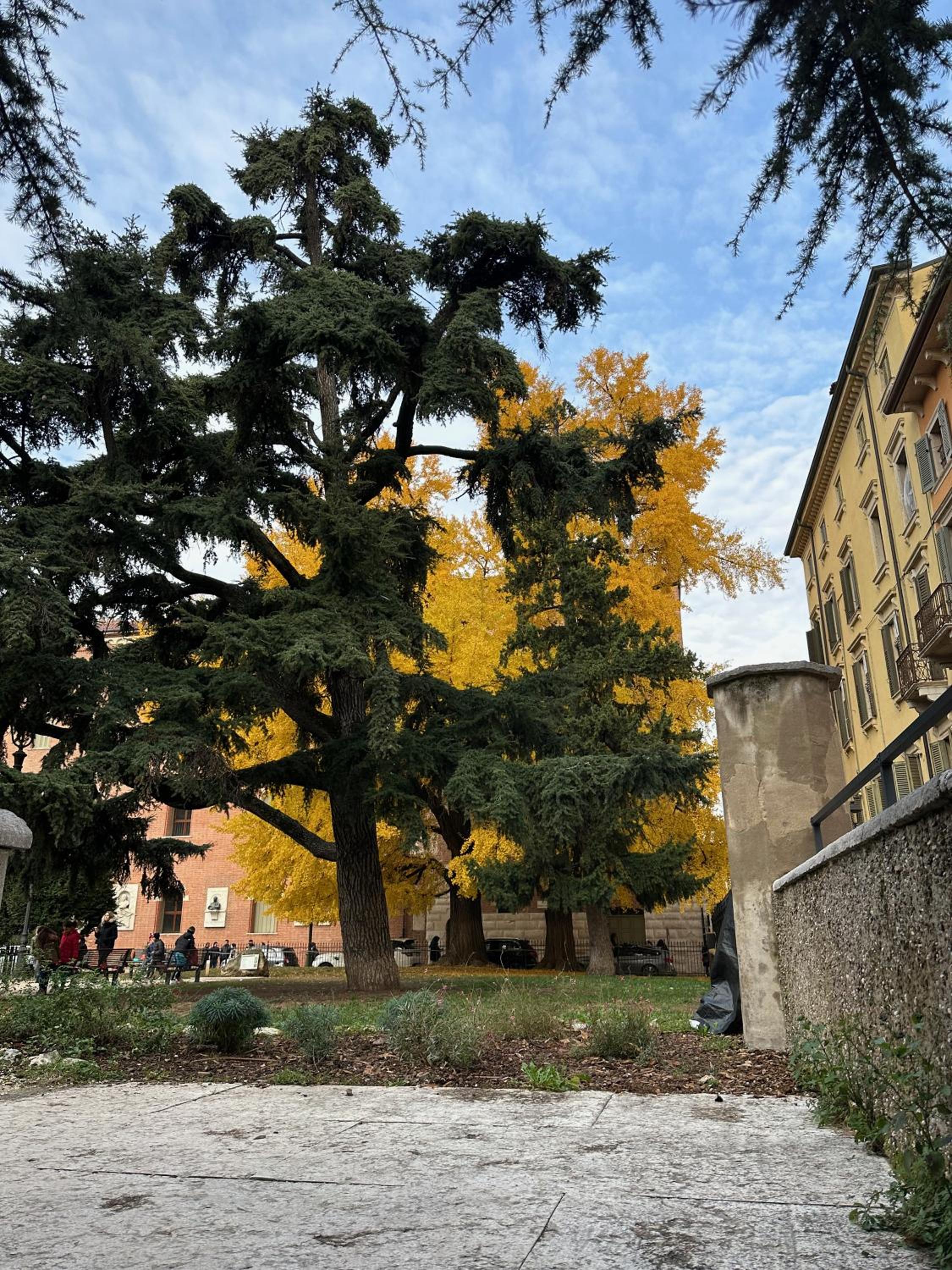 Domus Largo Pescheria