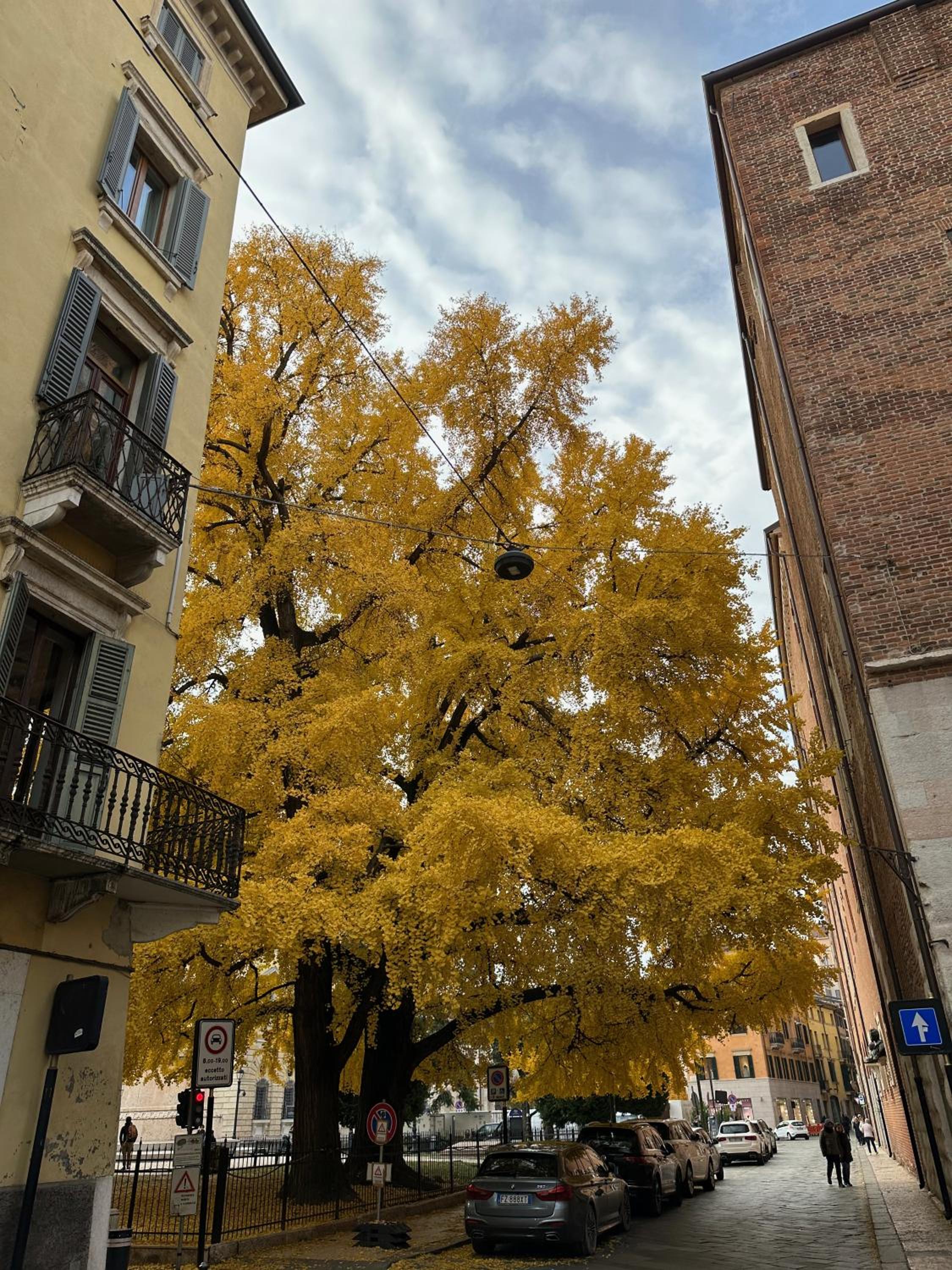 Domus Largo Pescheria