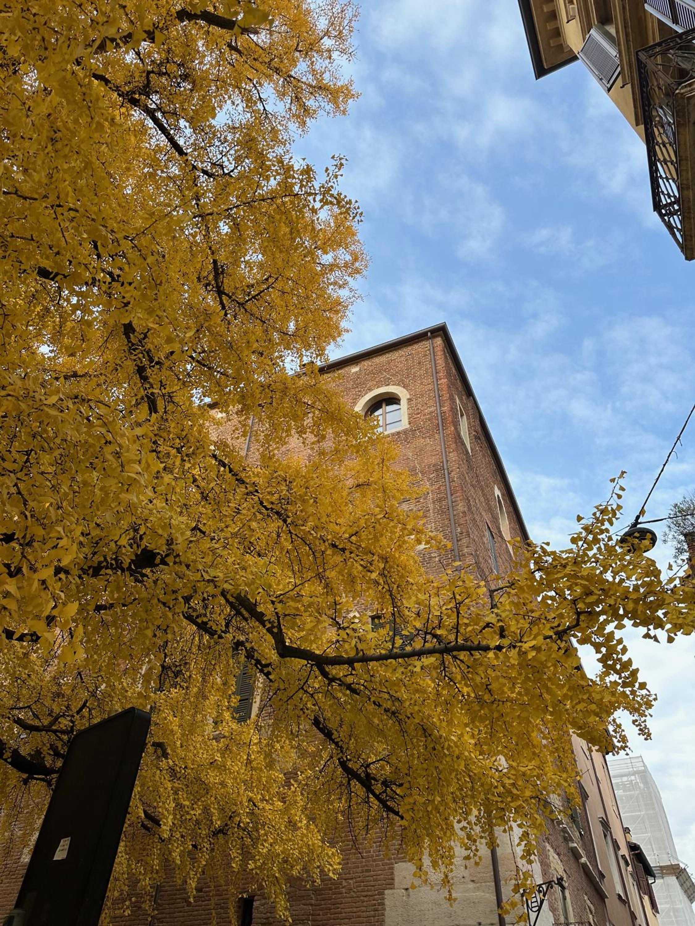 Domus Largo Pescheria