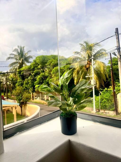 Kozy Korner Apartment view 4