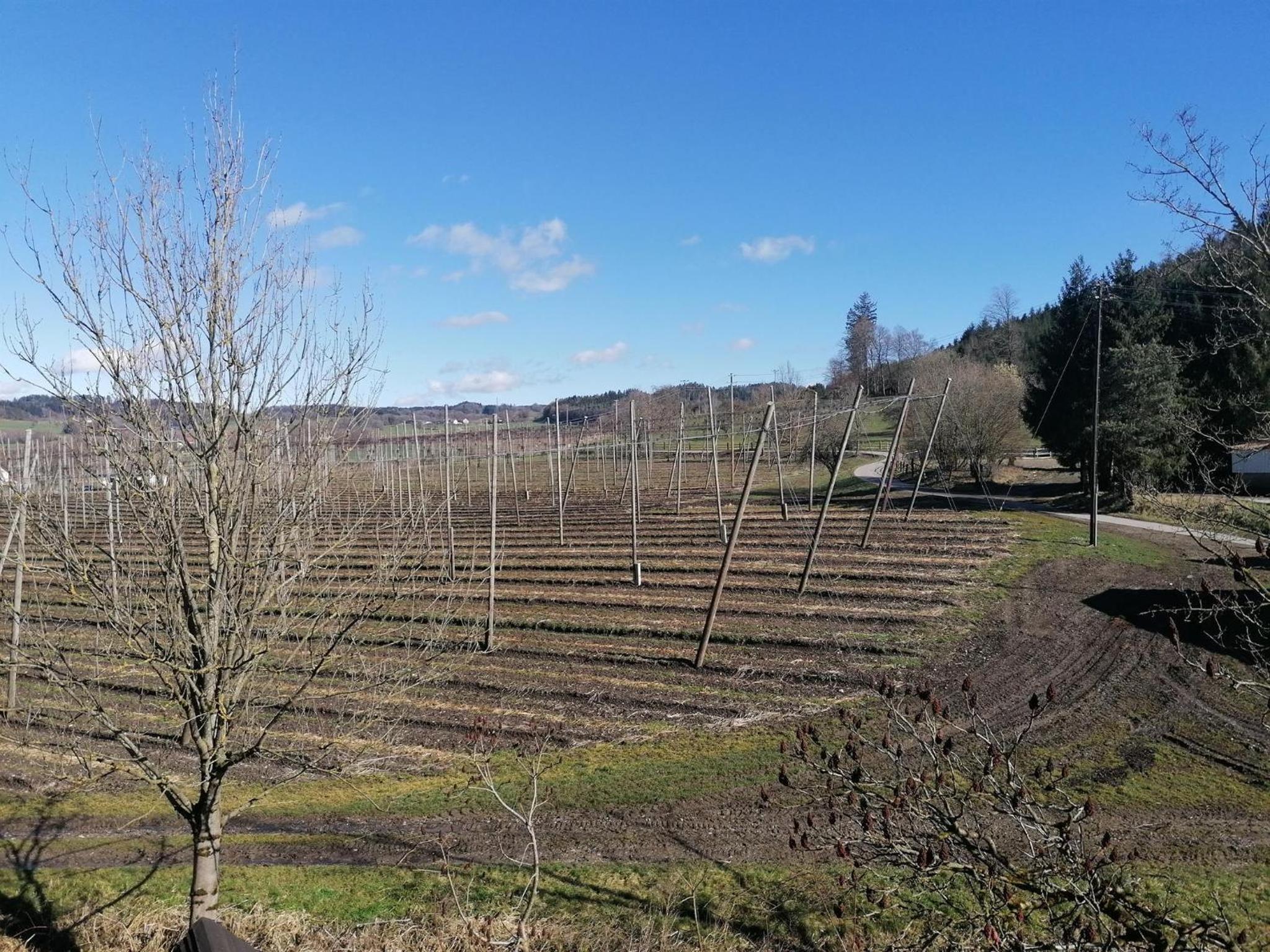 Ferienhof Hopfgärtle Müller