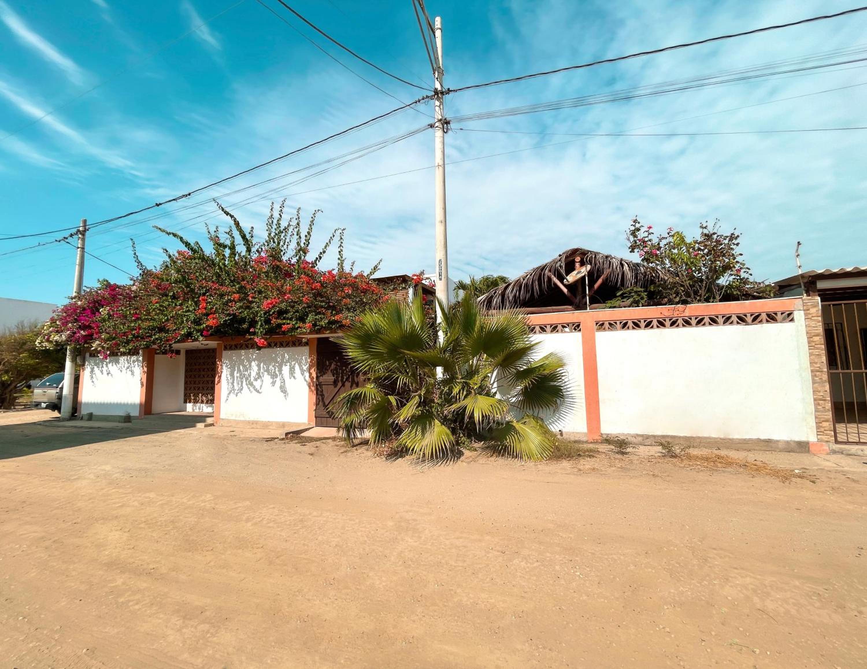 Photo 41
