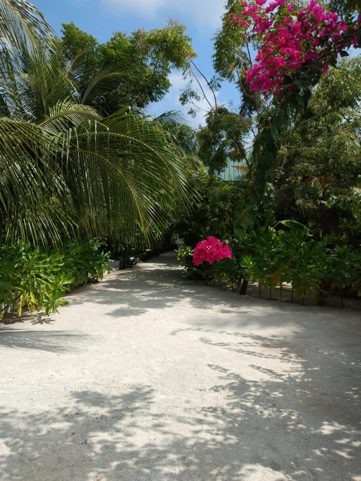 Sunrise Inn