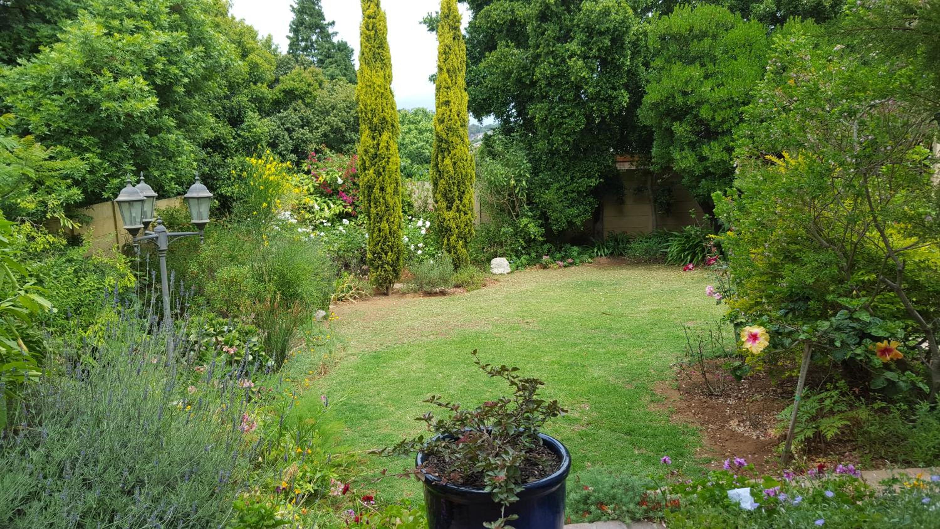 Photo 39
