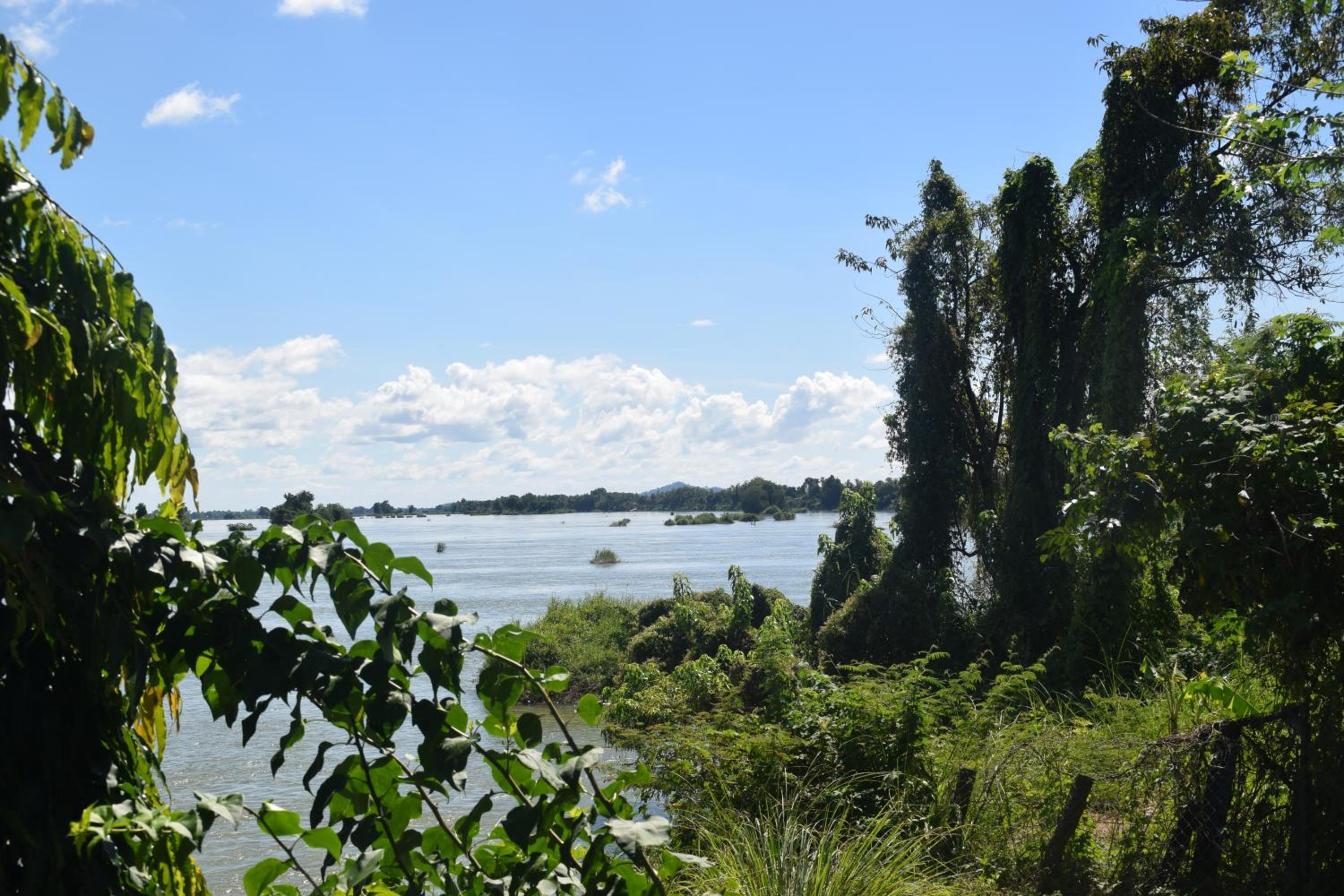 Photo 44