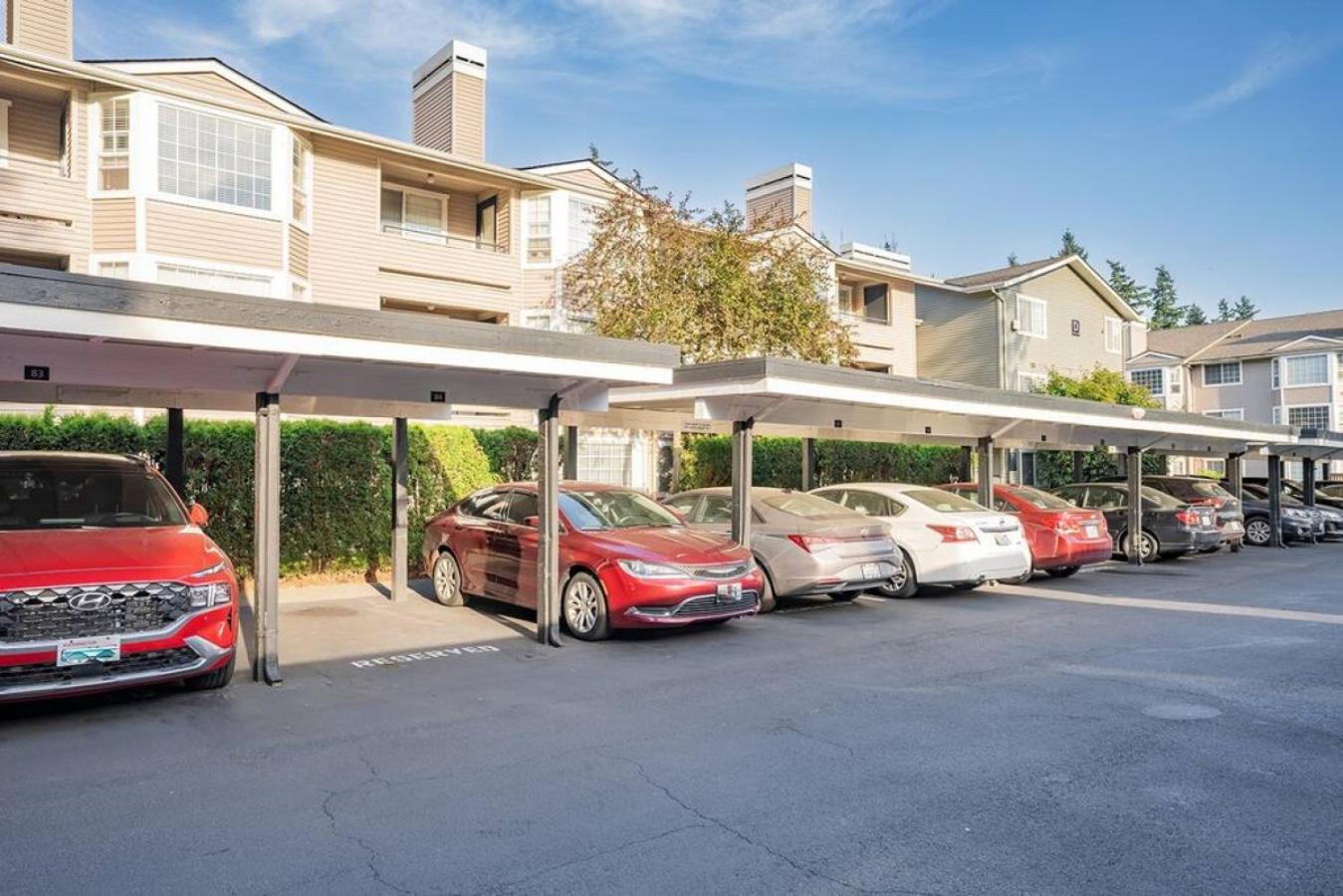 Modern and spacious Apartment- Gym, Wifi, Free Parking view 3