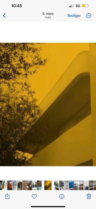 Photo 32
