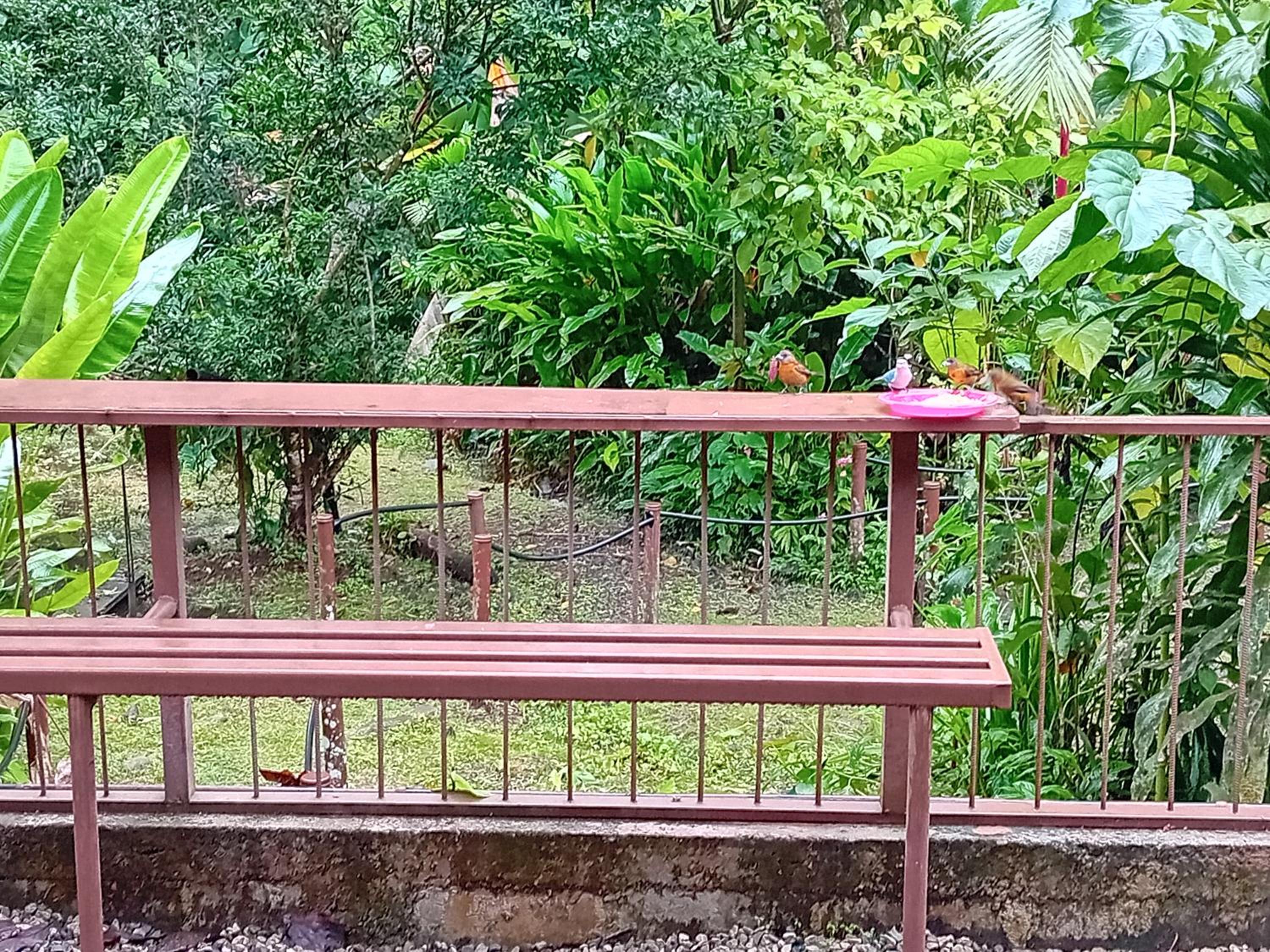 La Casita