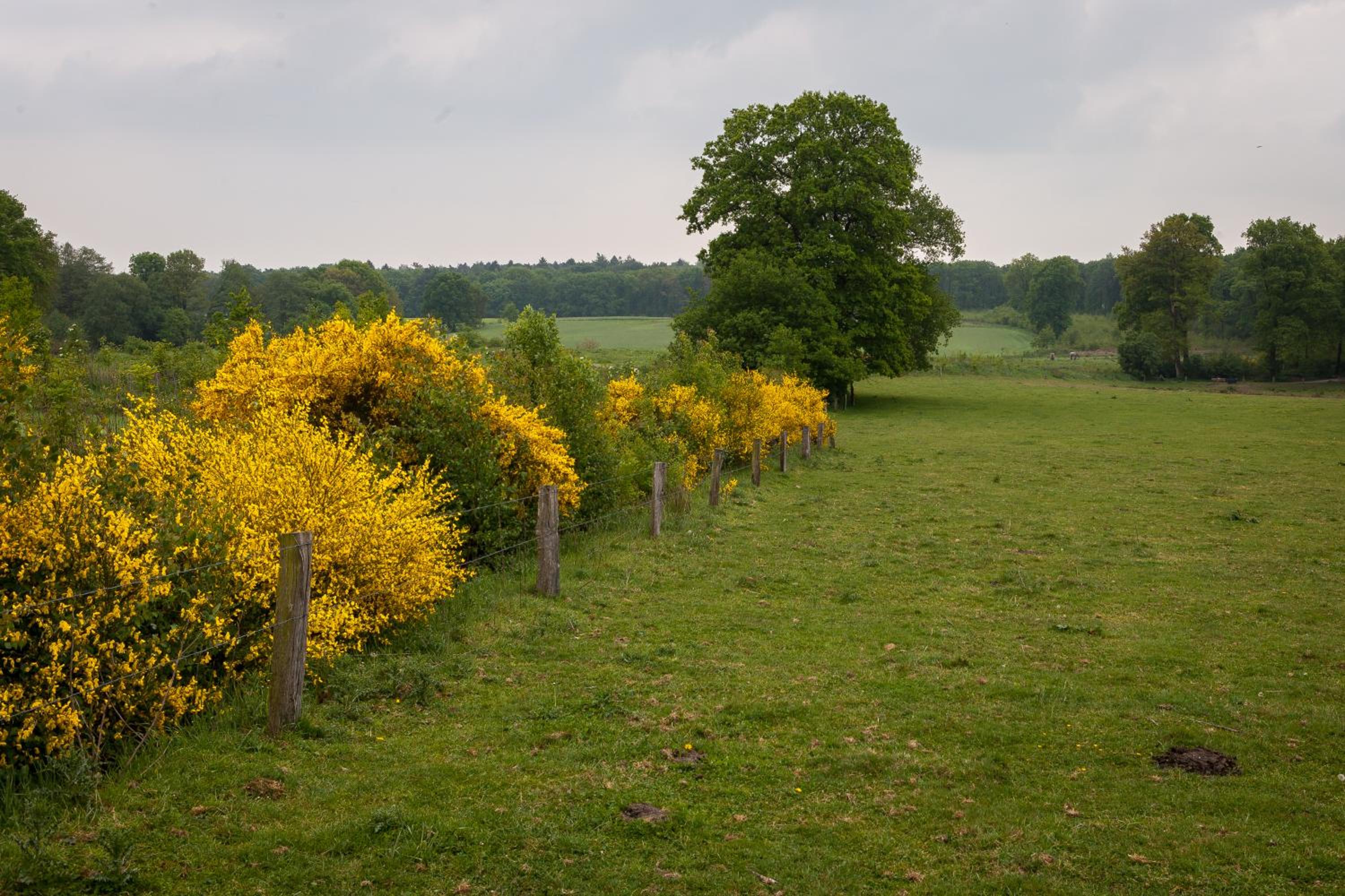 Brunninkhuizerbeek