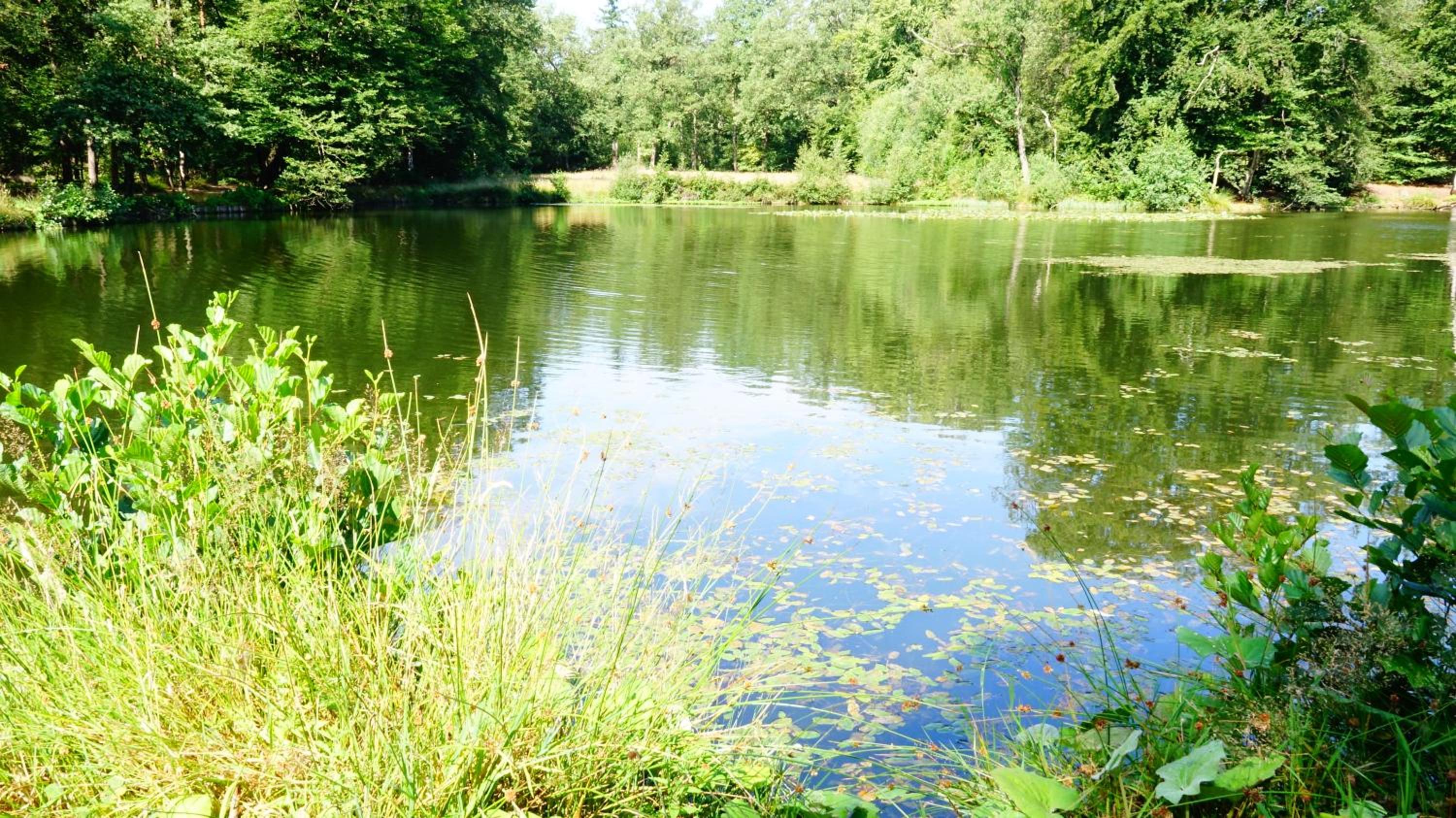 Brunninkhuizerbeek