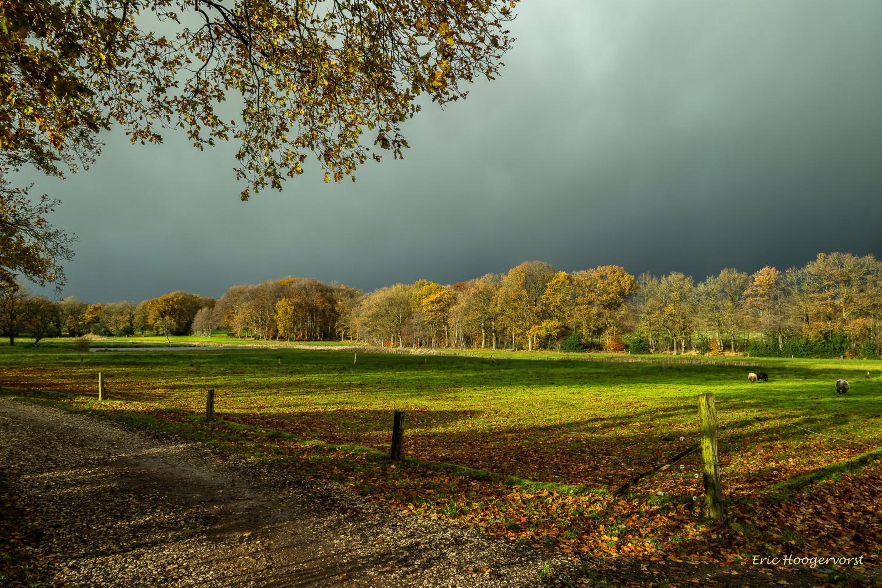 Brunninkhuizerbeek